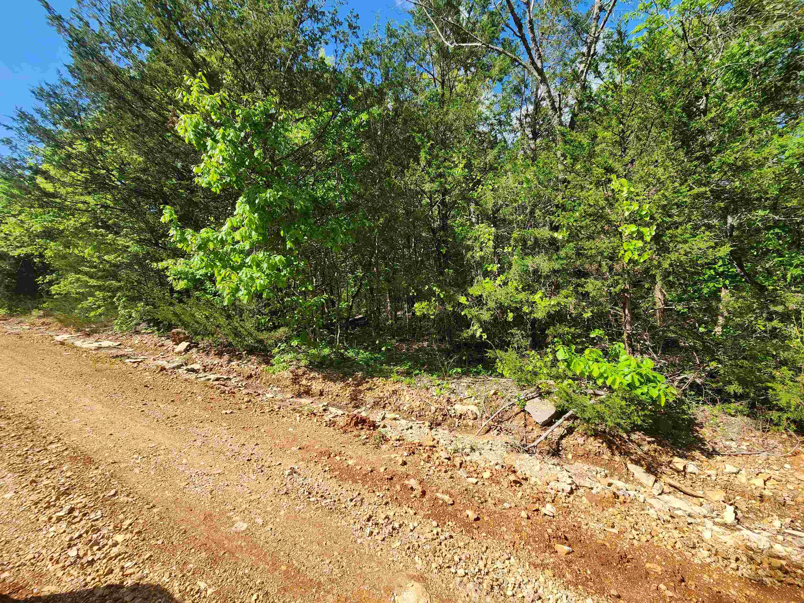   Strawberry Valley  Ash Flat, AR