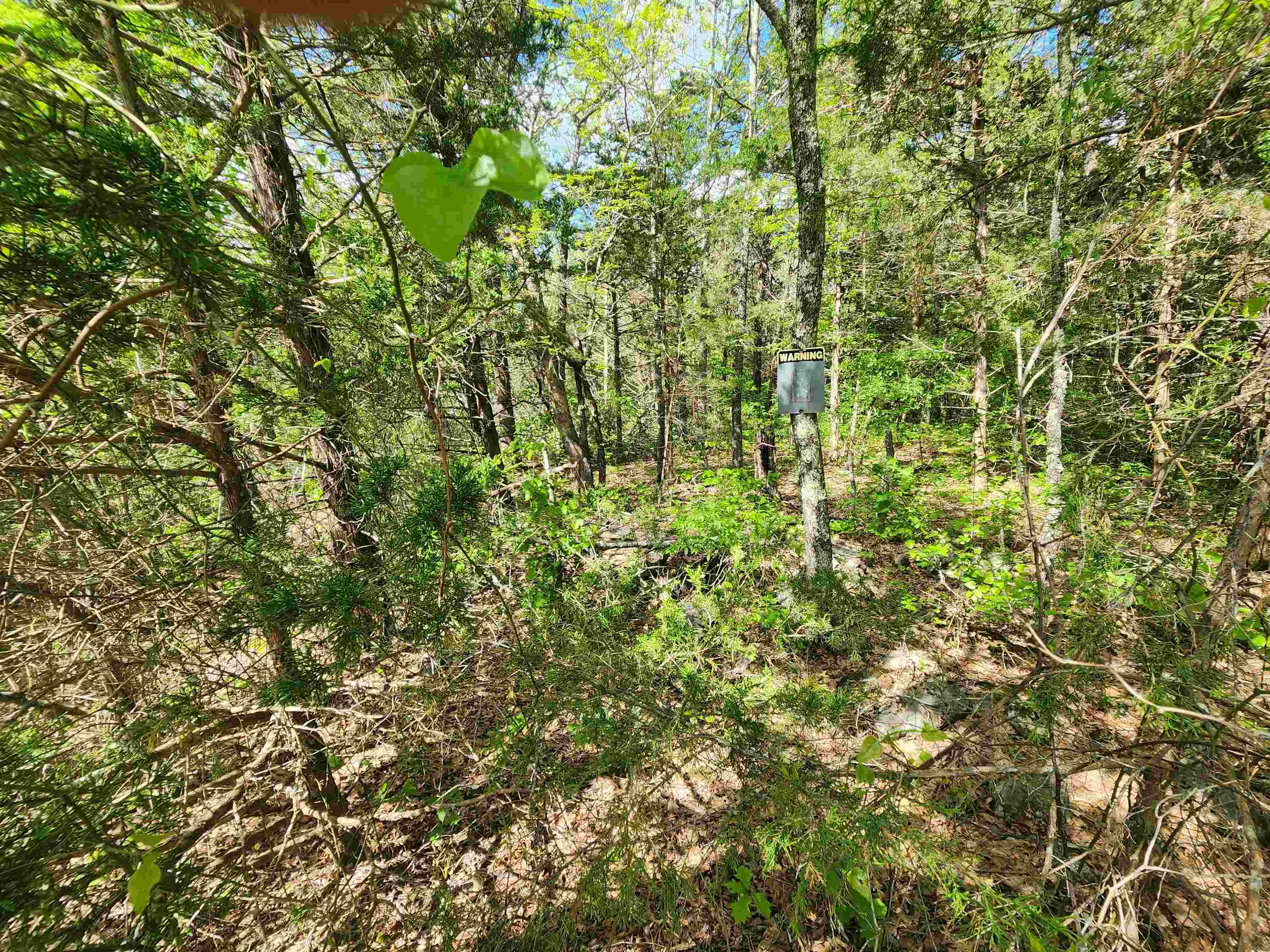   Strawberry Valley  Ash Flat, AR
