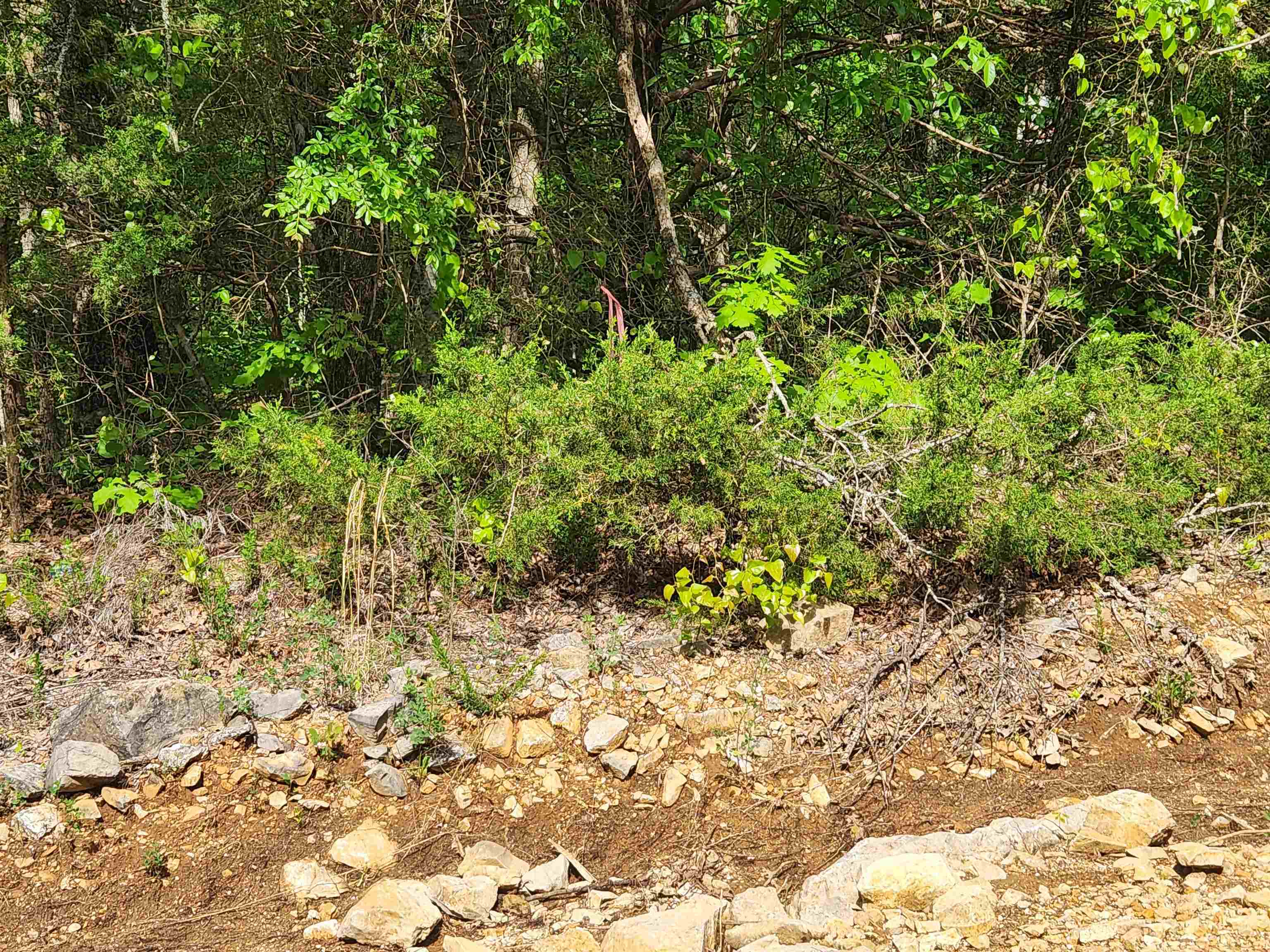   Strawberry Valley  Ash Flat, AR