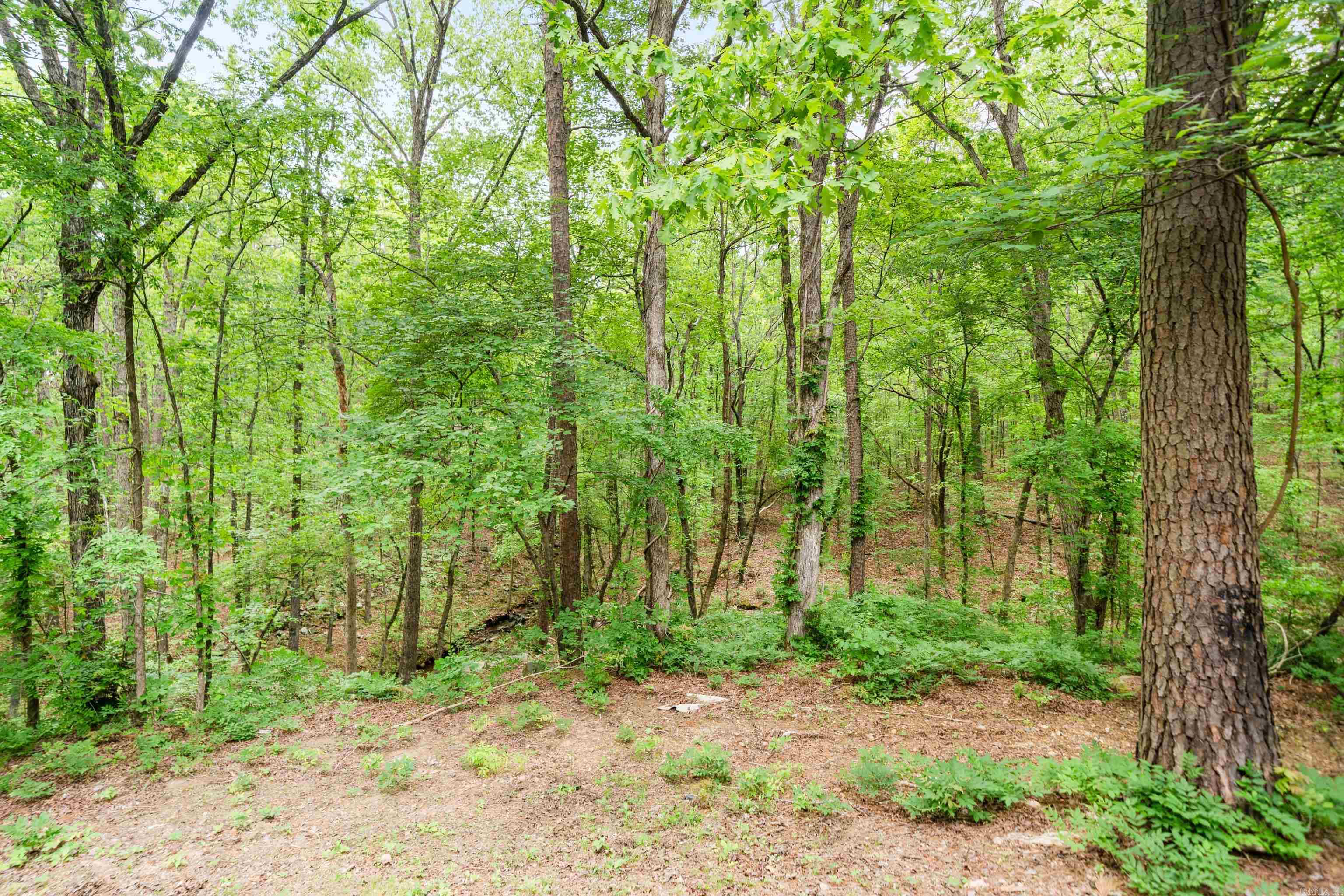 73  PERRALENA WAY  Hot Springs Village, AR