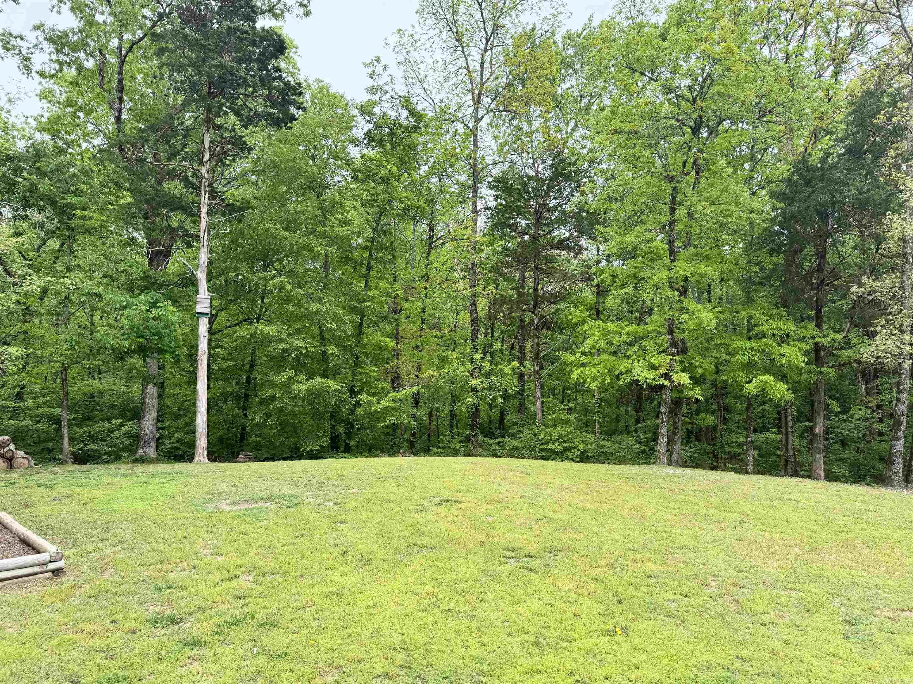 15384  Hwy 9 S.  Mountain View, AR