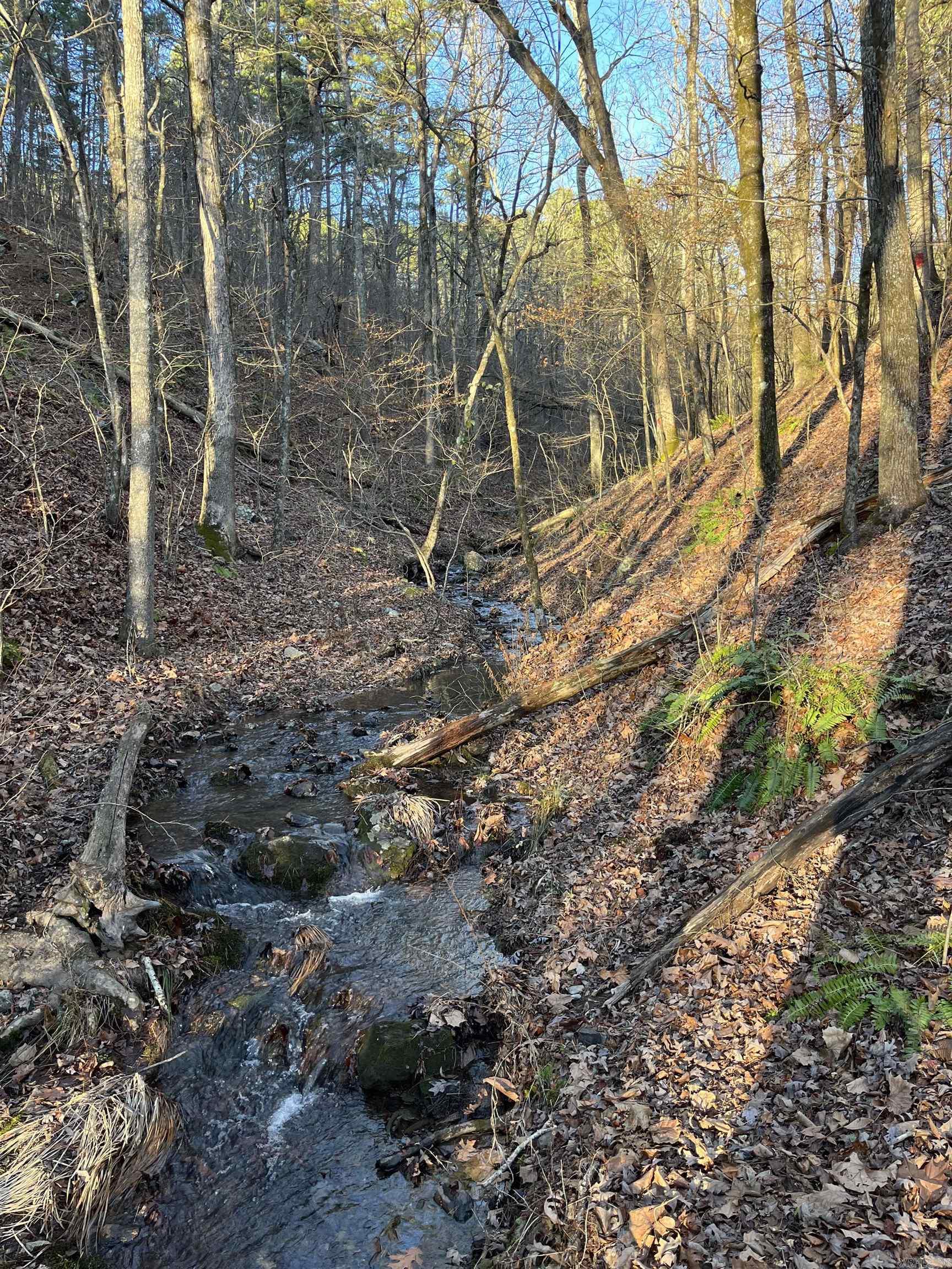 1071  Hwy 375 E  Mena, AR