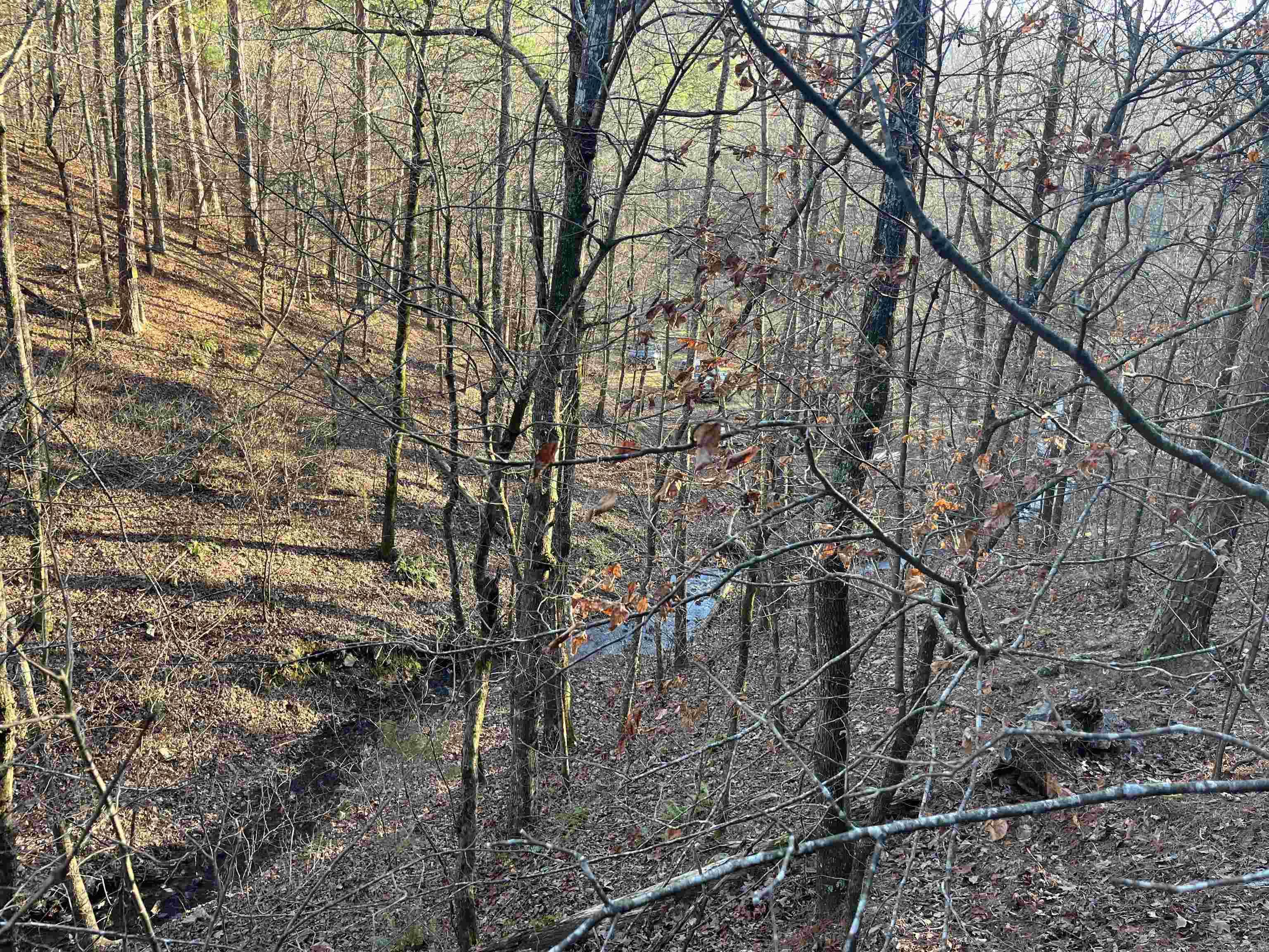 1071  Hwy 375 E  Mena, AR