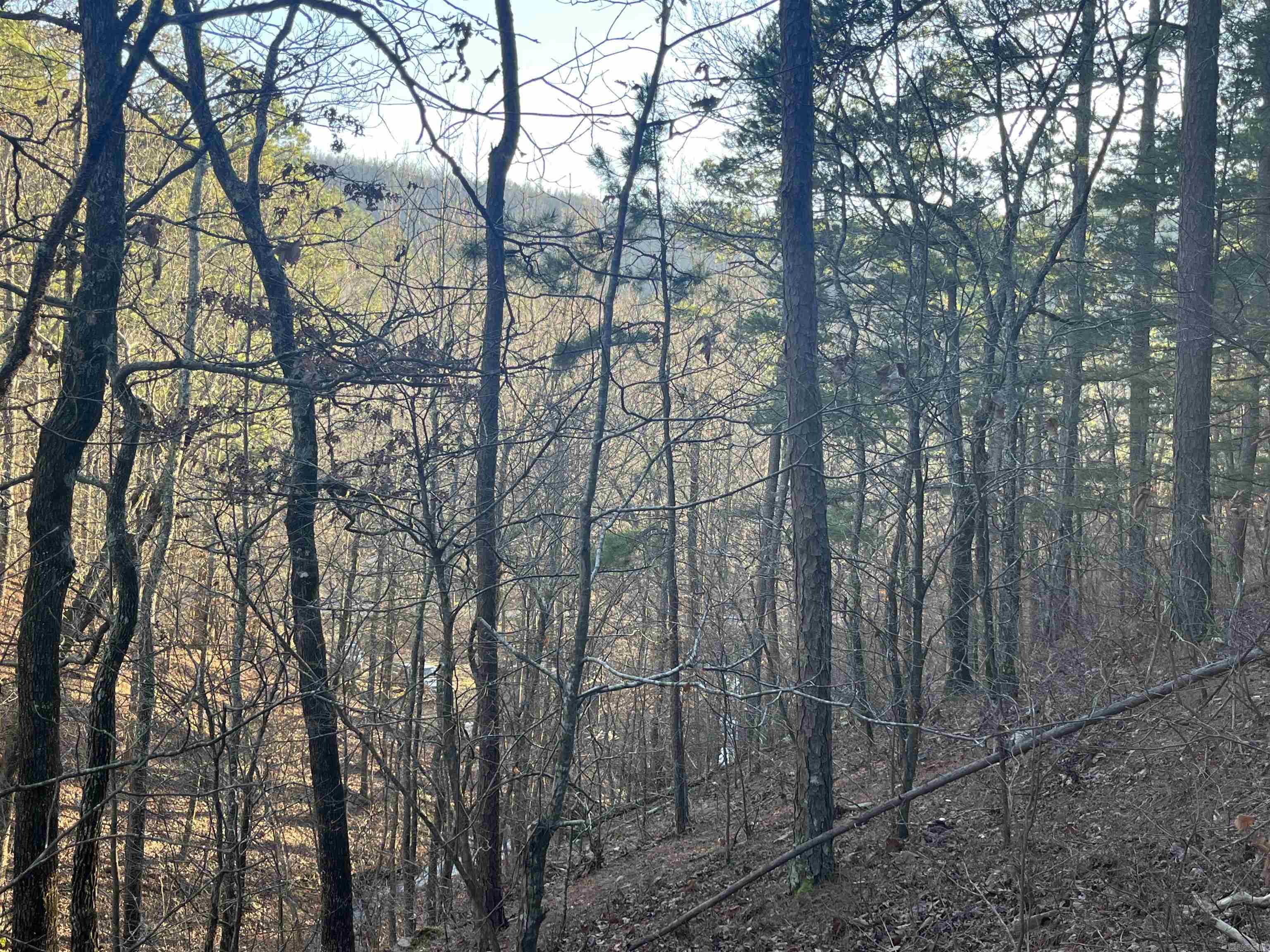 1071  Hwy 375 E  Mena, AR