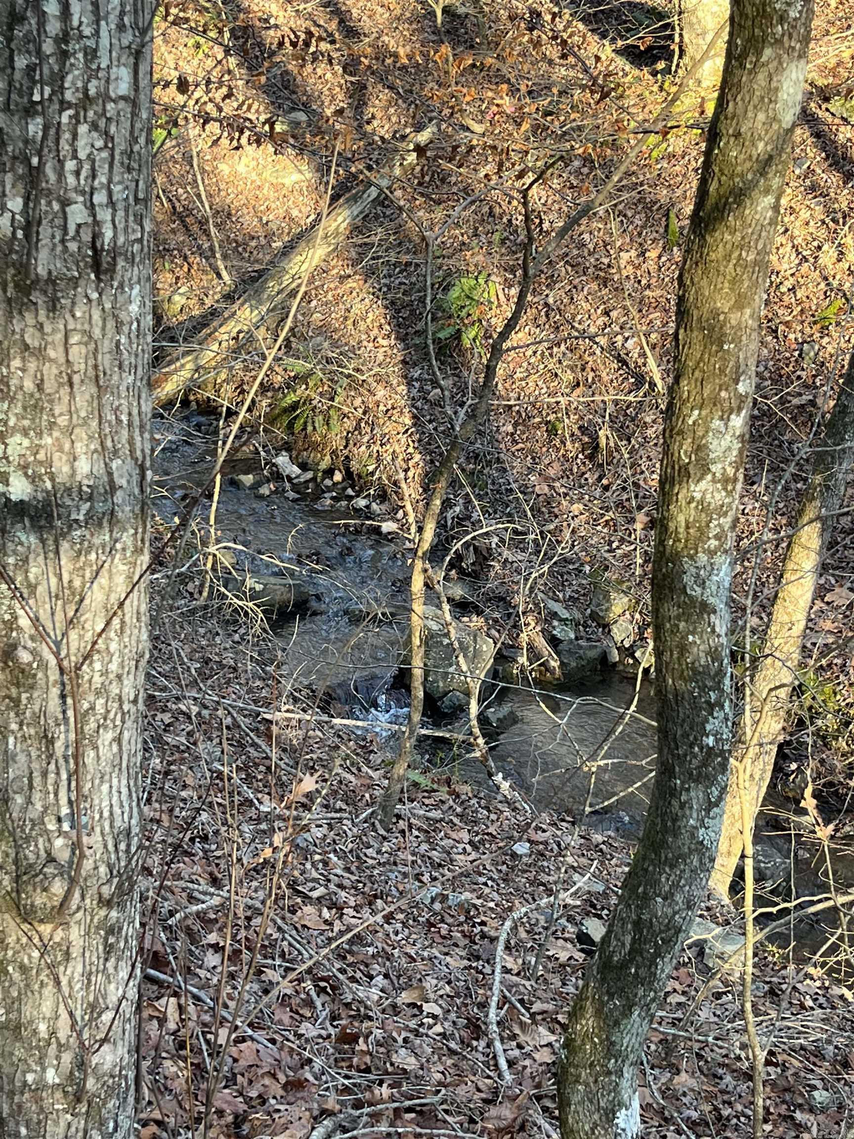 1071  Hwy 375 E  Mena, AR