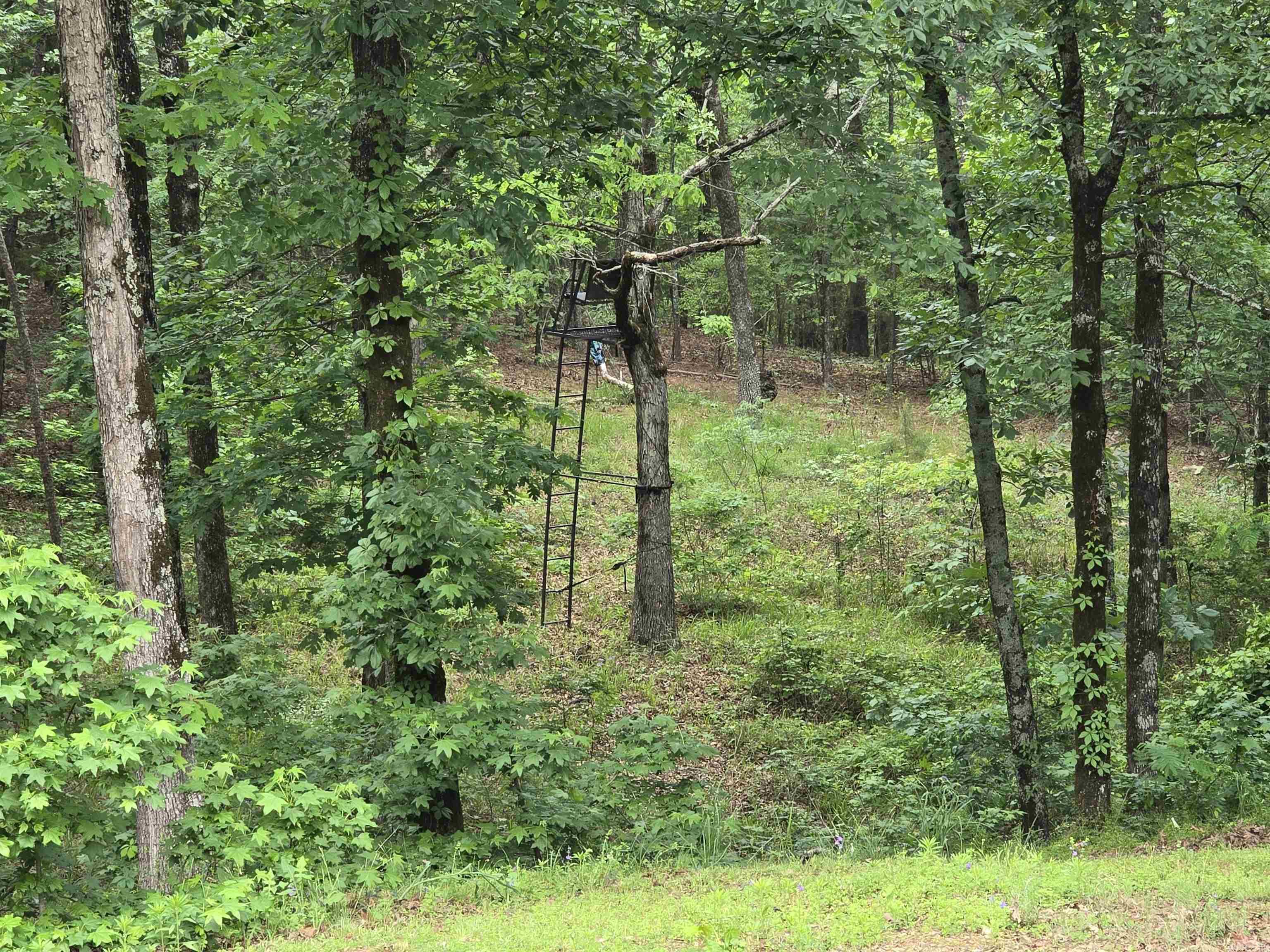200  Red Oak  Mayflower, AR