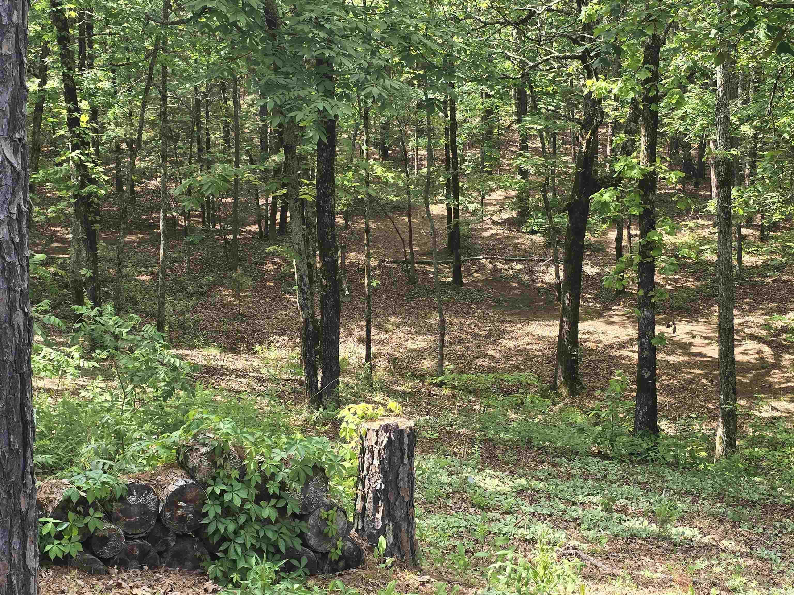 200  Red Oak  Mayflower, AR