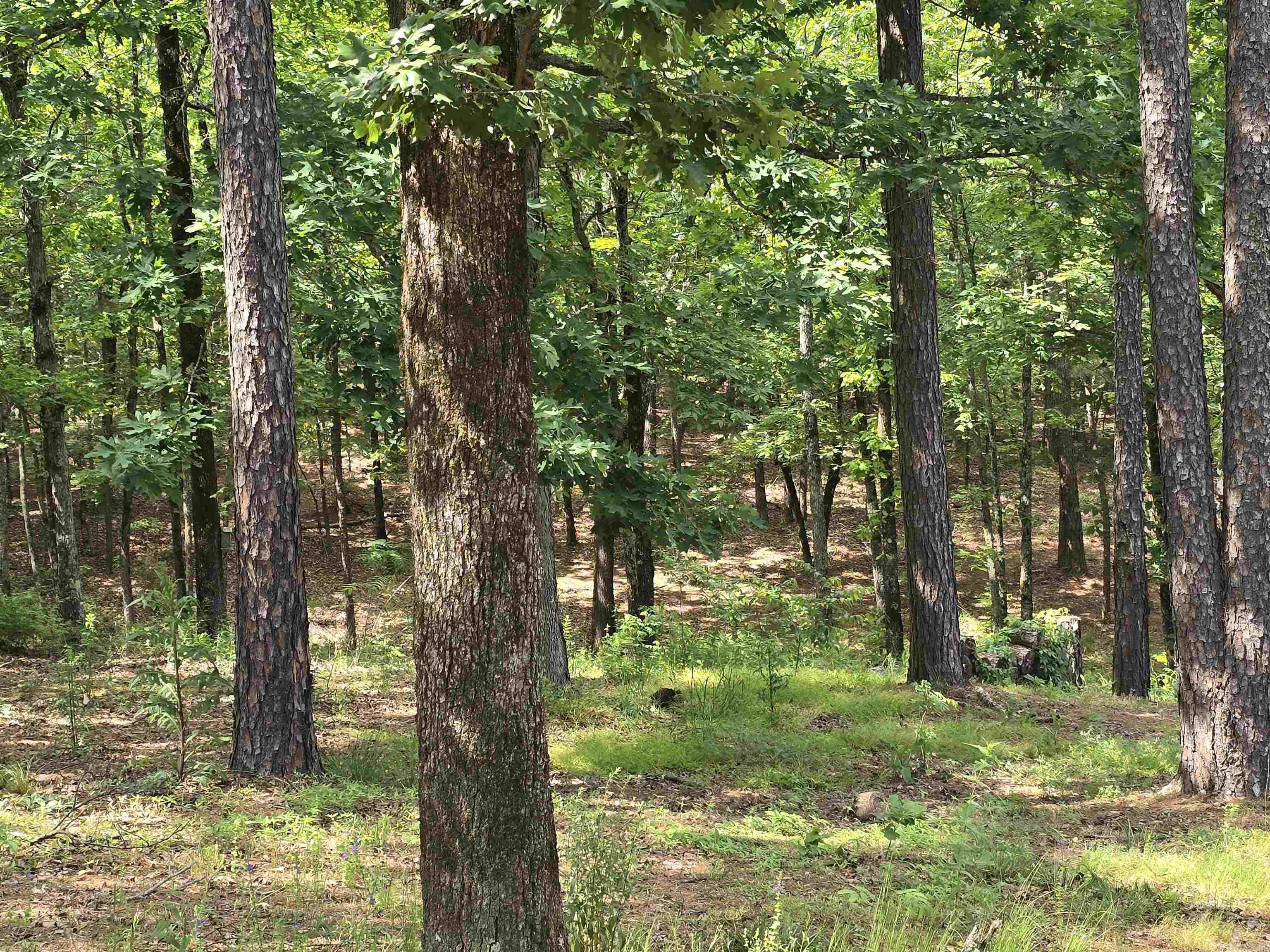 200  Red Oak  Mayflower, AR