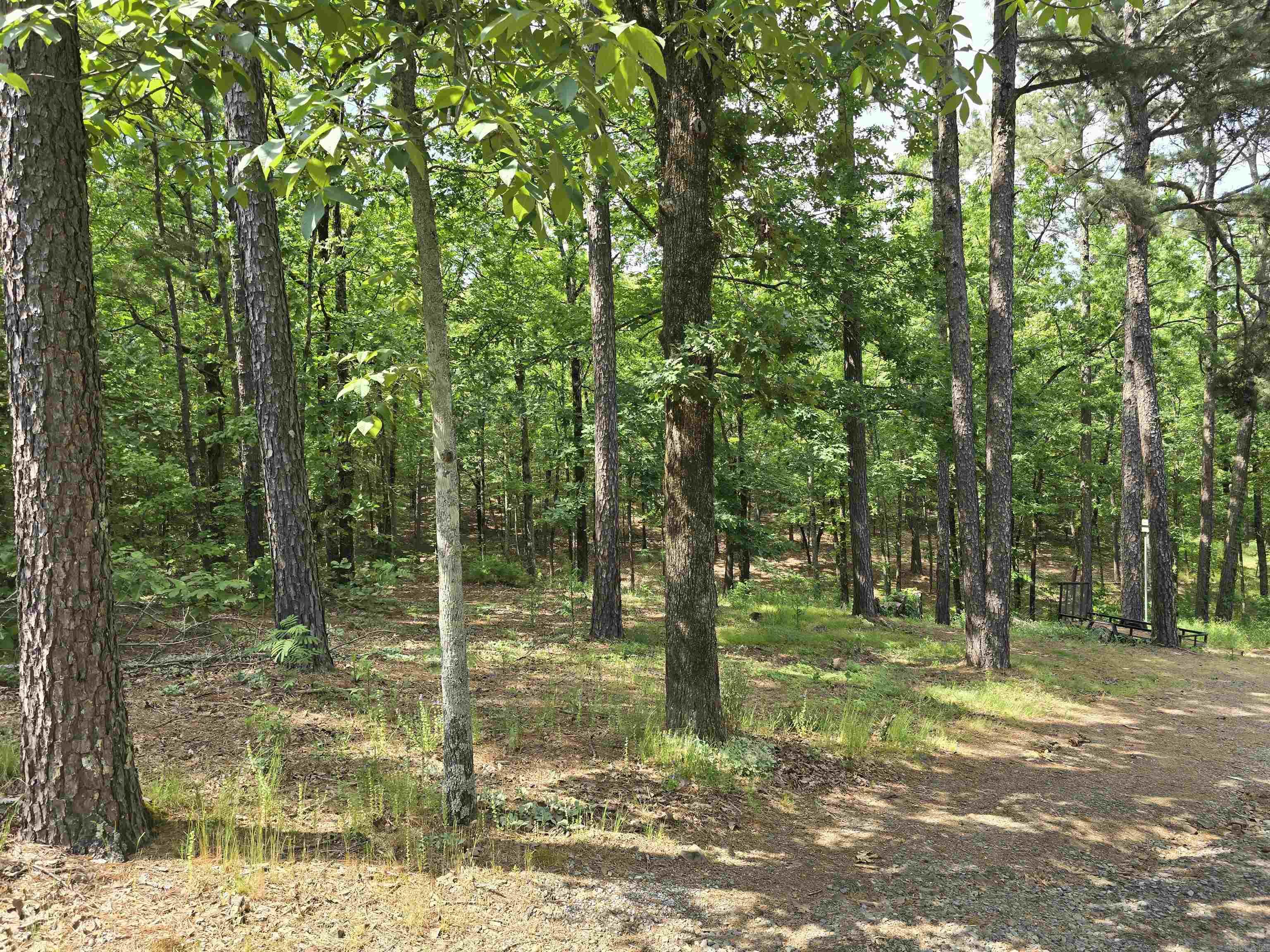 200  Red Oak  Mayflower, AR
