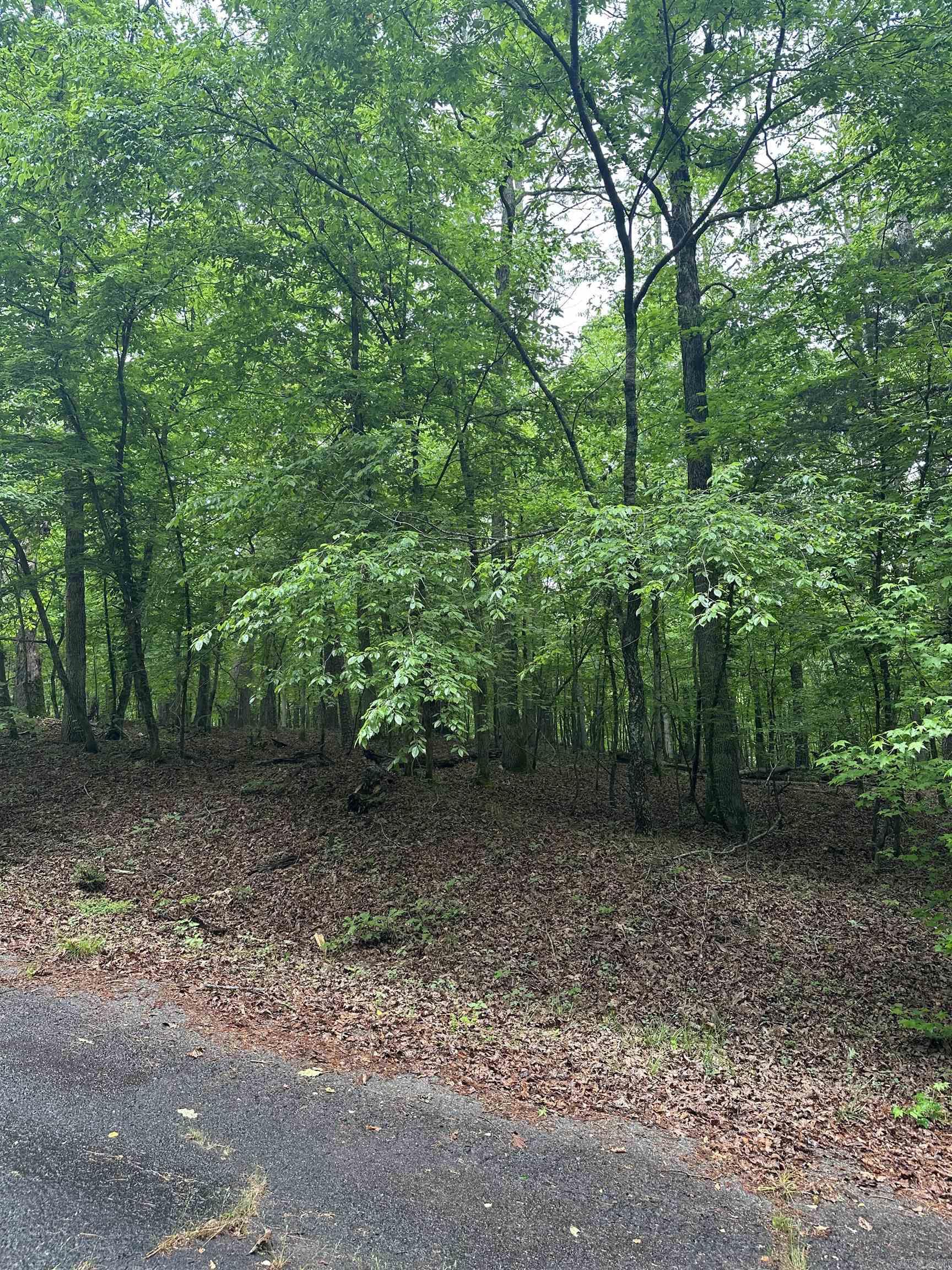 Lot 2  Vestonero  Hot Springs Village, AR