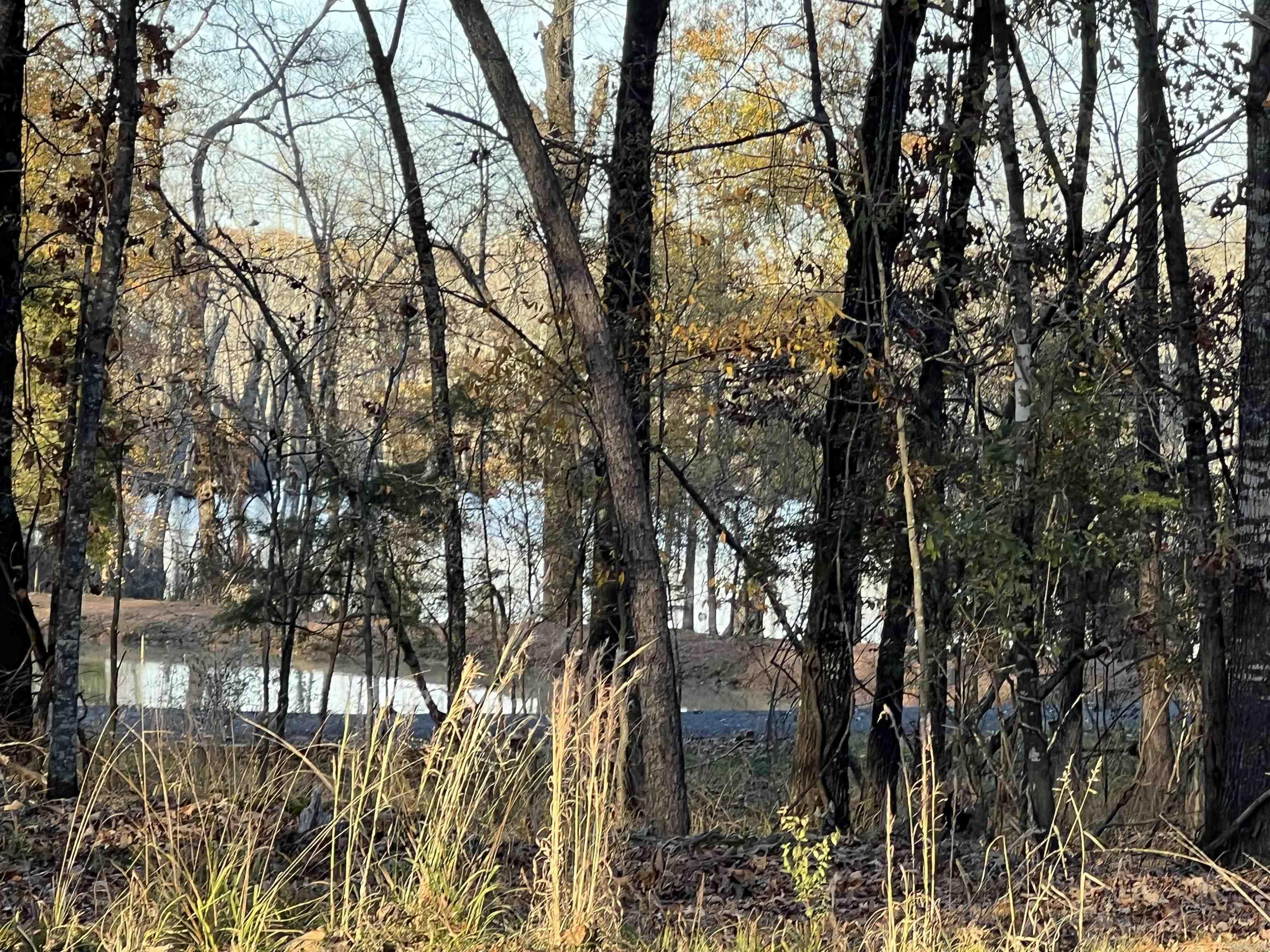 303  Devoe Bend  Maumelle, AR