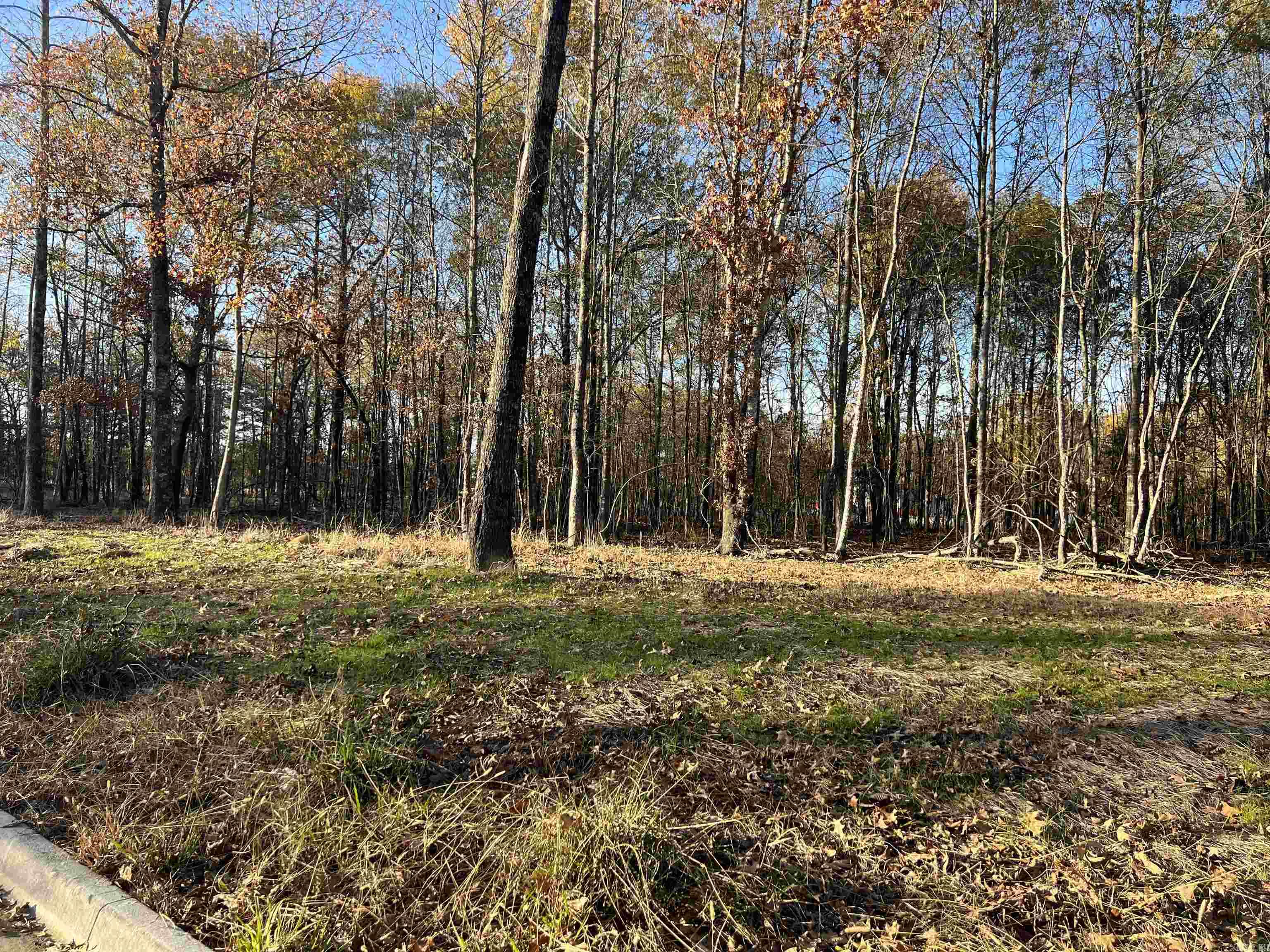 303  Devoe Bend  Maumelle, AR
