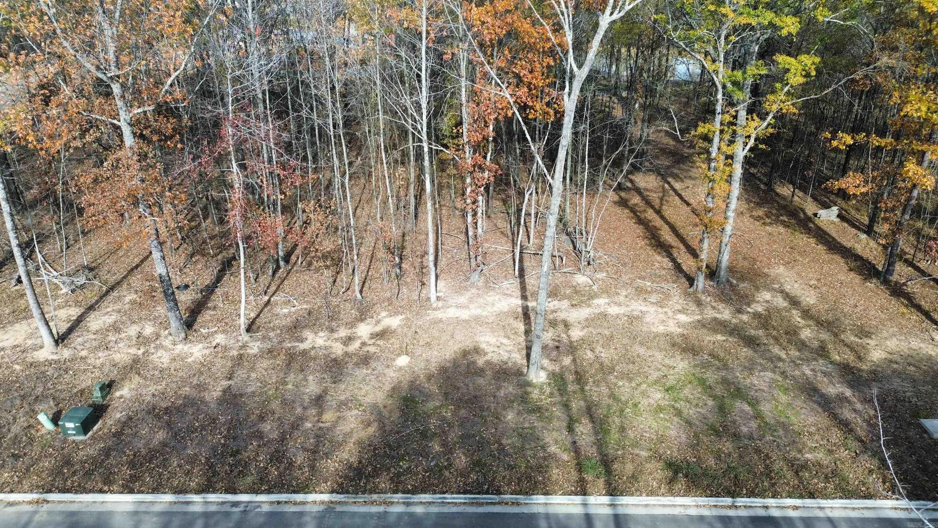 303  Devoe Bend  Maumelle, AR