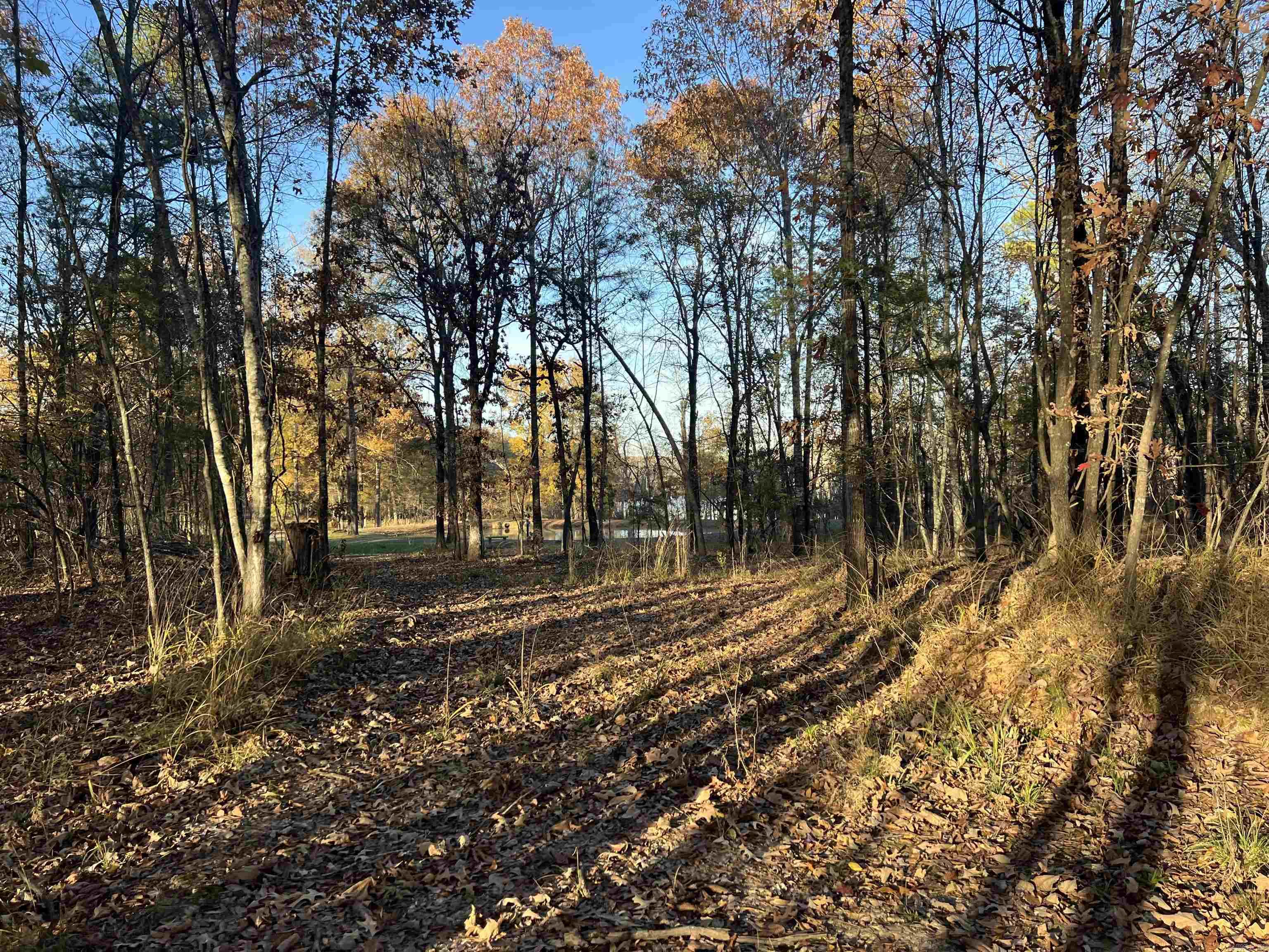 303  Devoe Bend  Maumelle, AR
