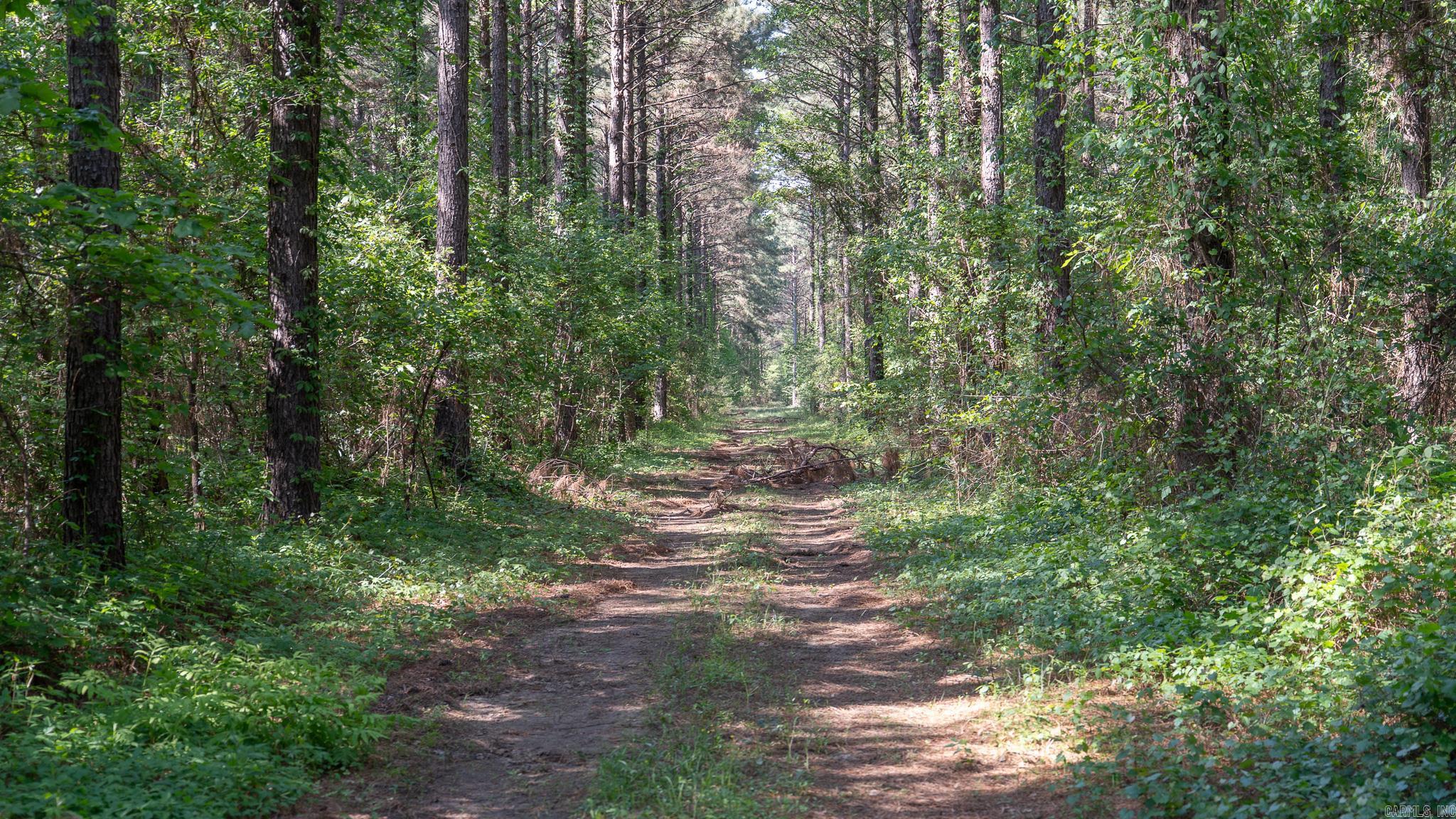 TBD  US Hwy 82  Texarkana, AR