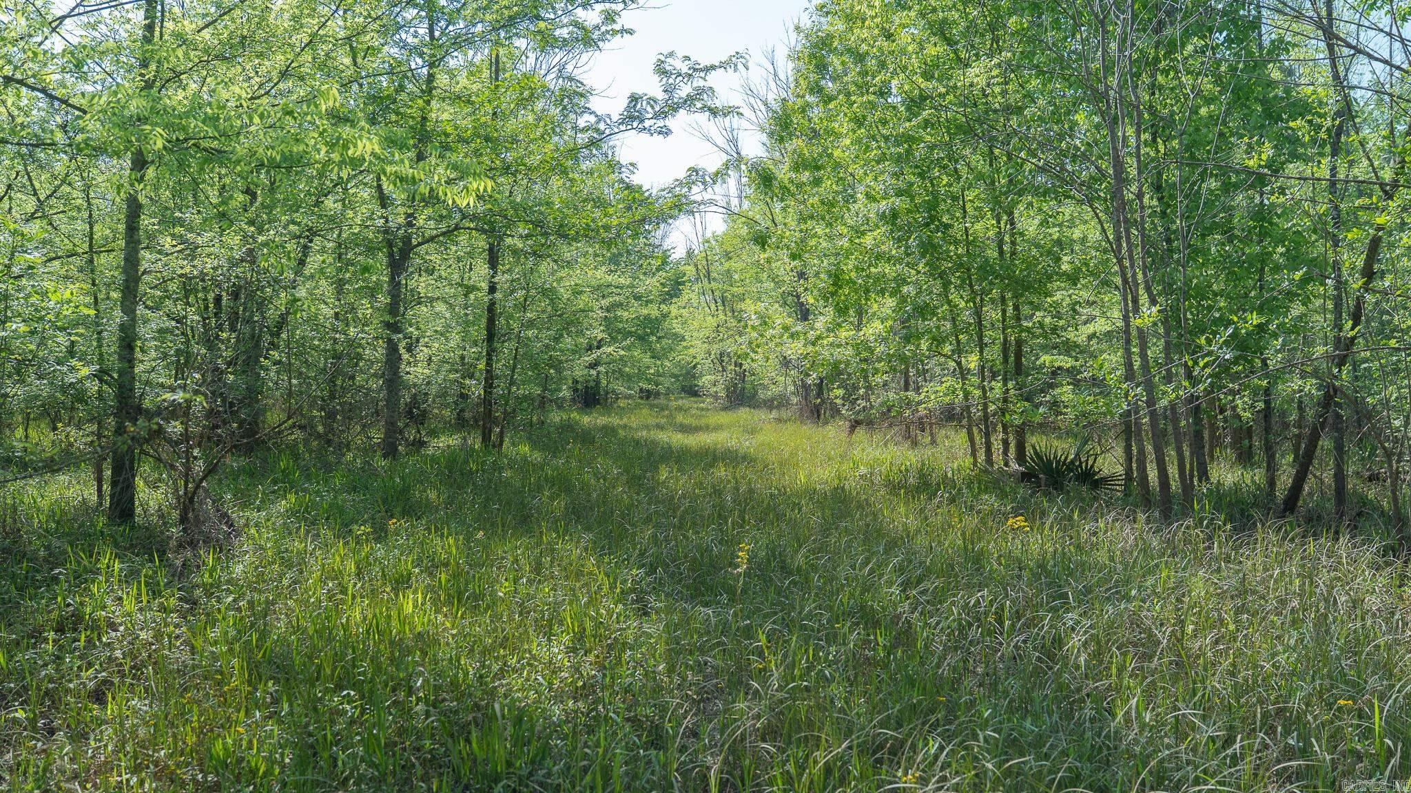 TBD  US Hwy 82  Texarkana, AR