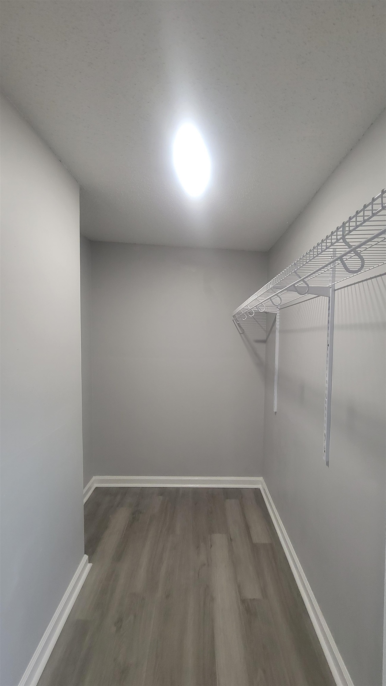 319  Paul  Lepanto, AR