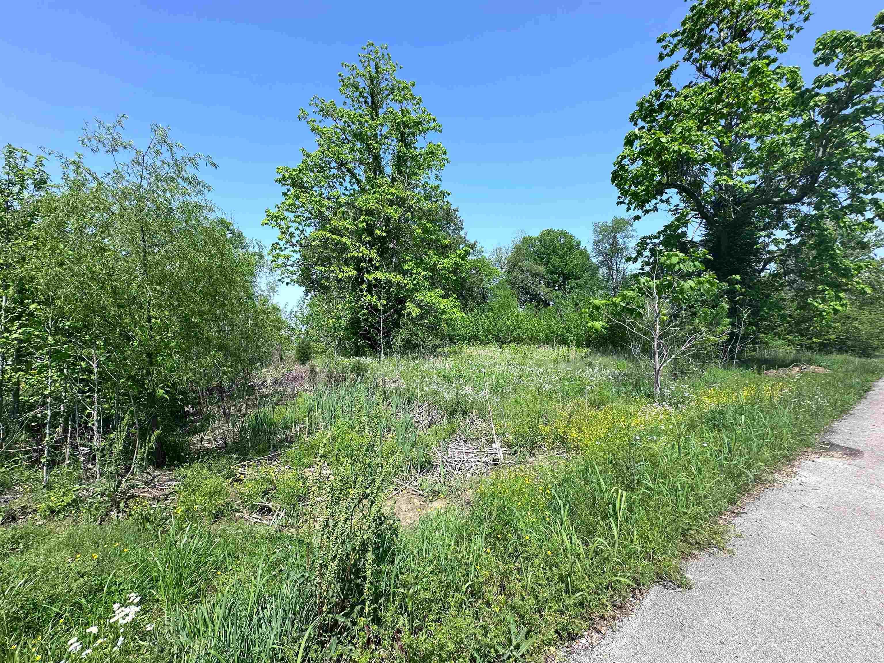1  Davis  Greenway, AR