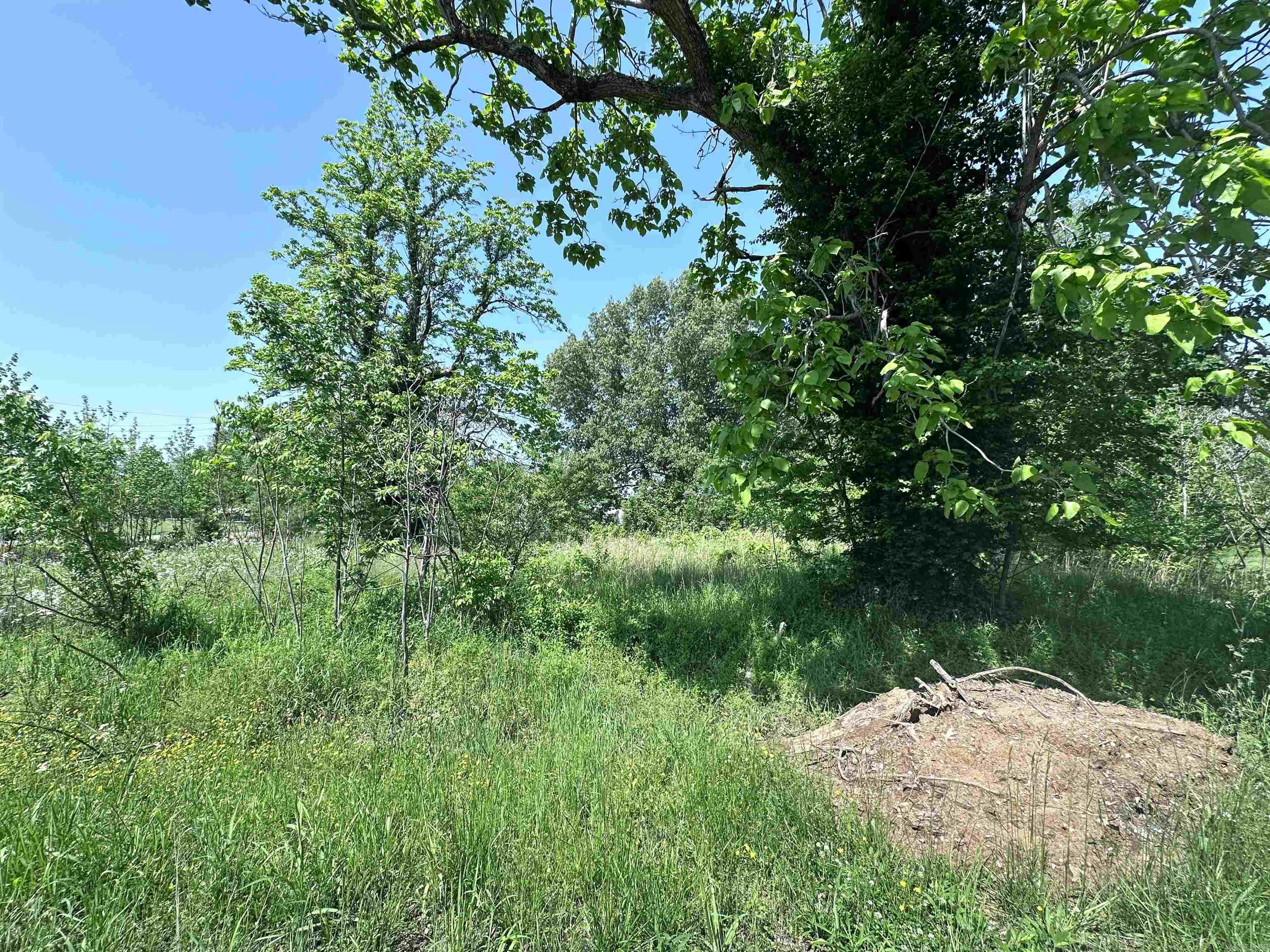 1  Davis  Greenway, AR