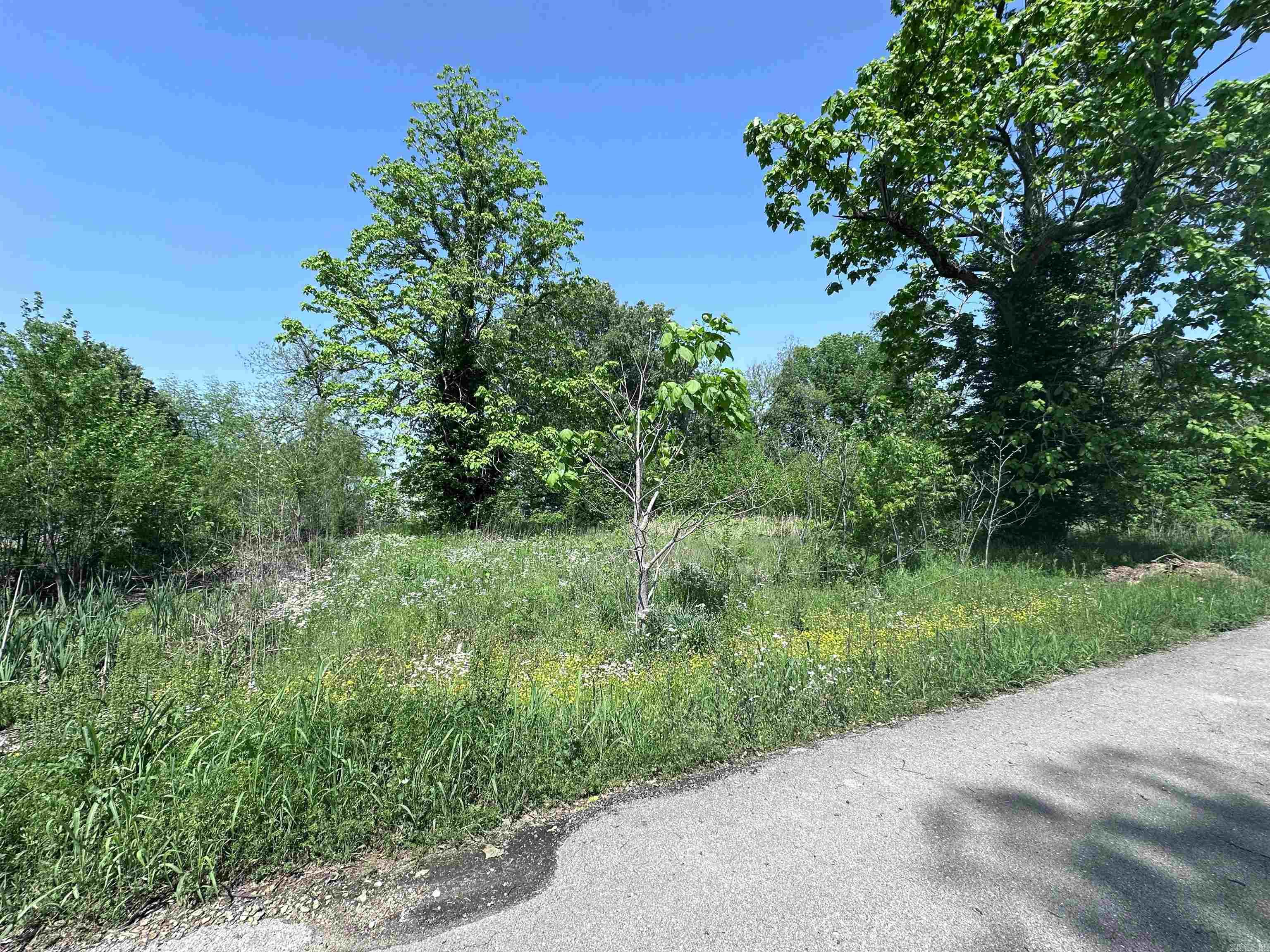 1  Davis  Greenway, AR