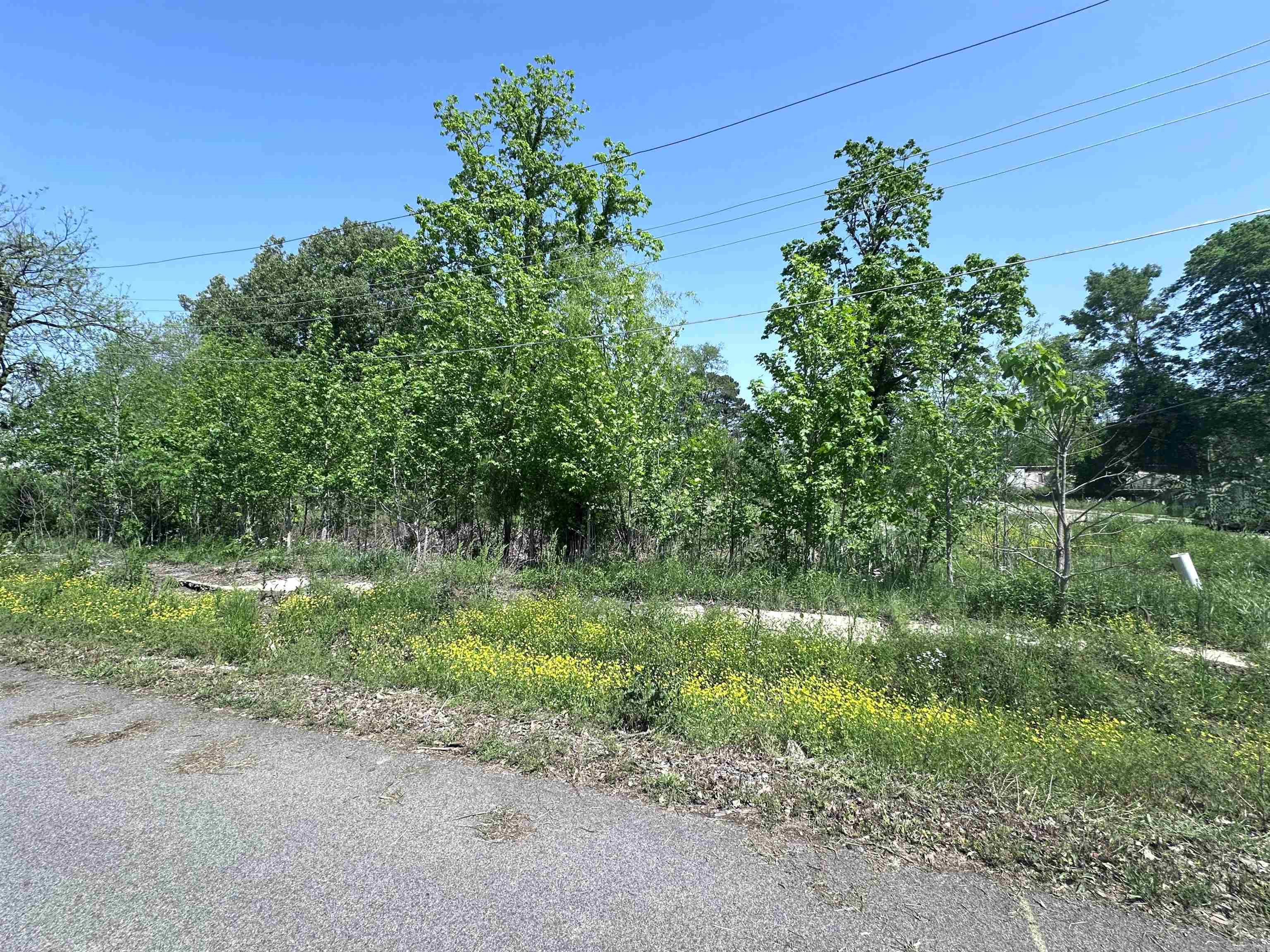 1  Davis  Greenway, AR
