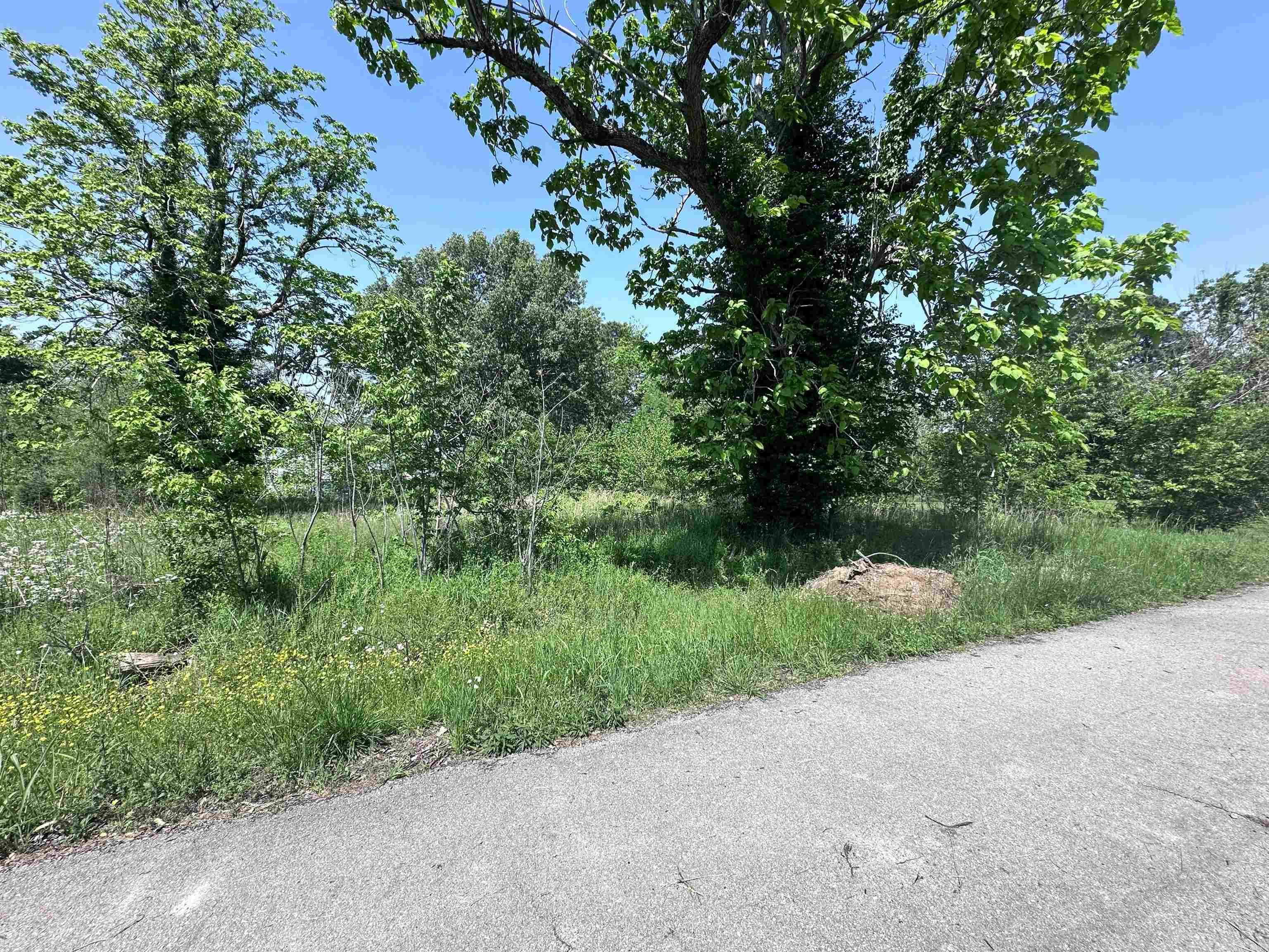 1  Davis  Greenway, AR