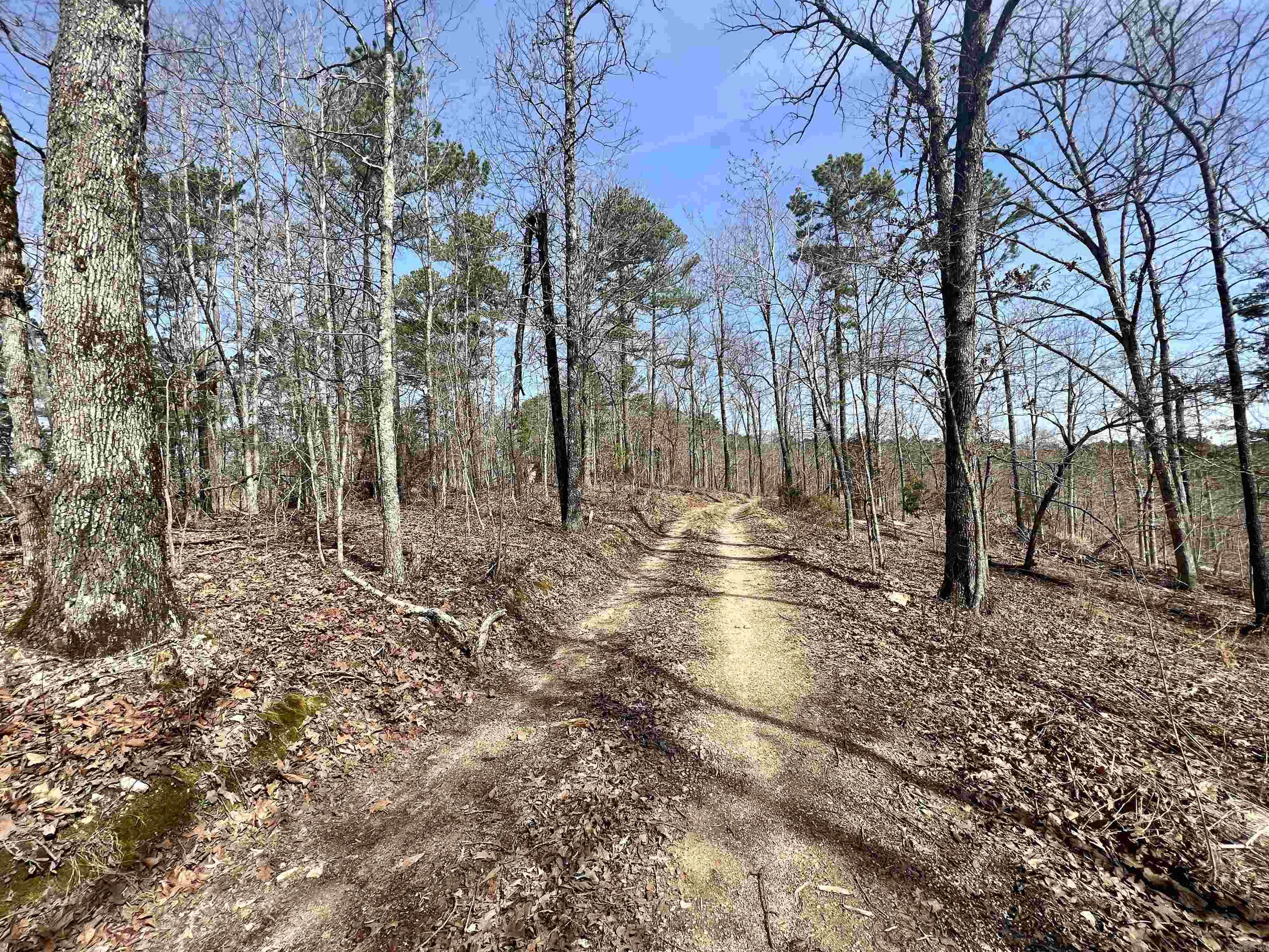 Tract 3  Ramblewood  Yellville, AR