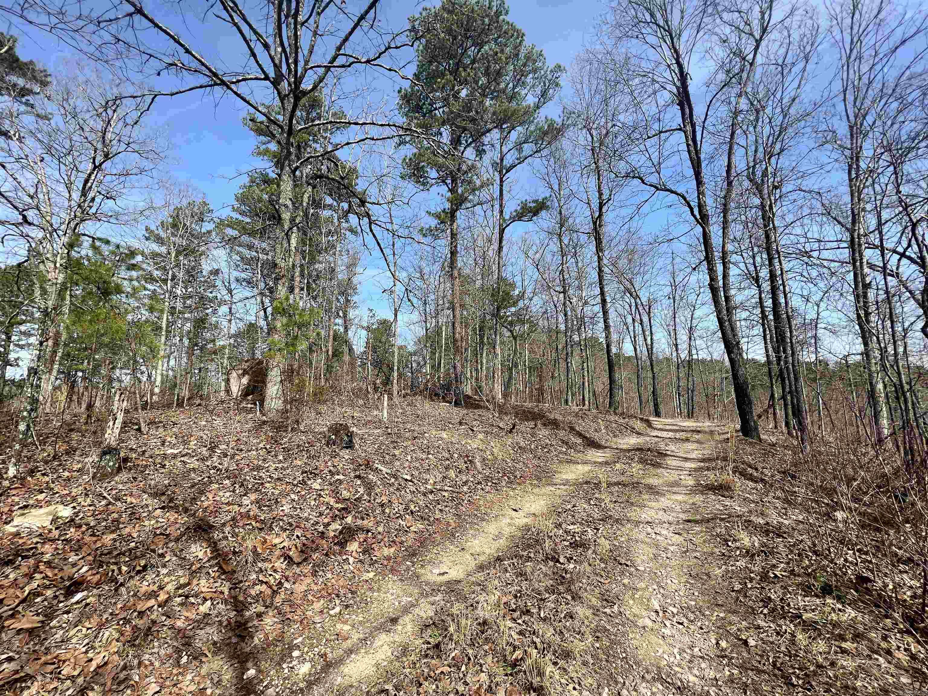 Tract 3  Ramblewood  Yellville, AR