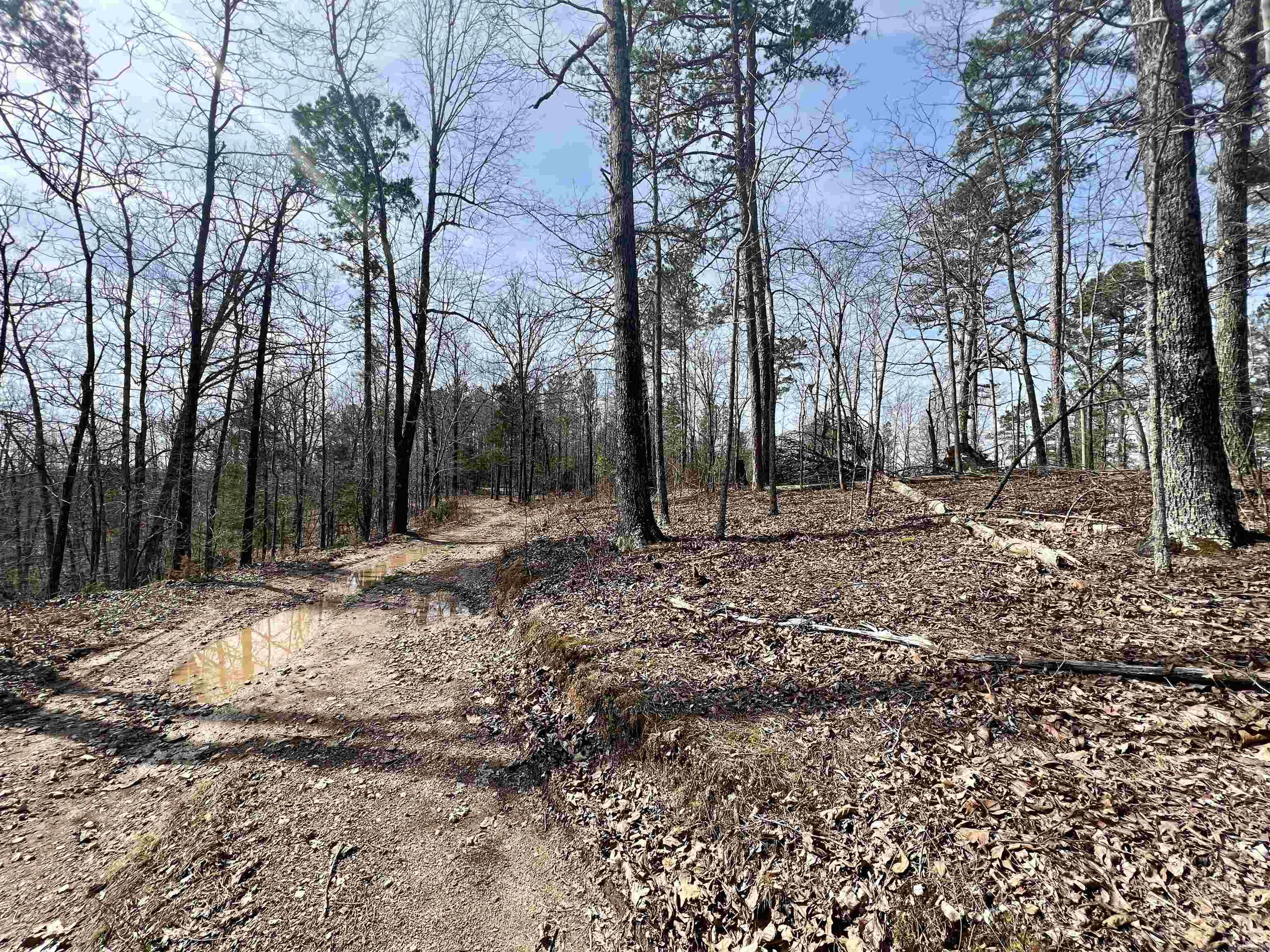 Tract 3  Ramblewood  Yellville, AR