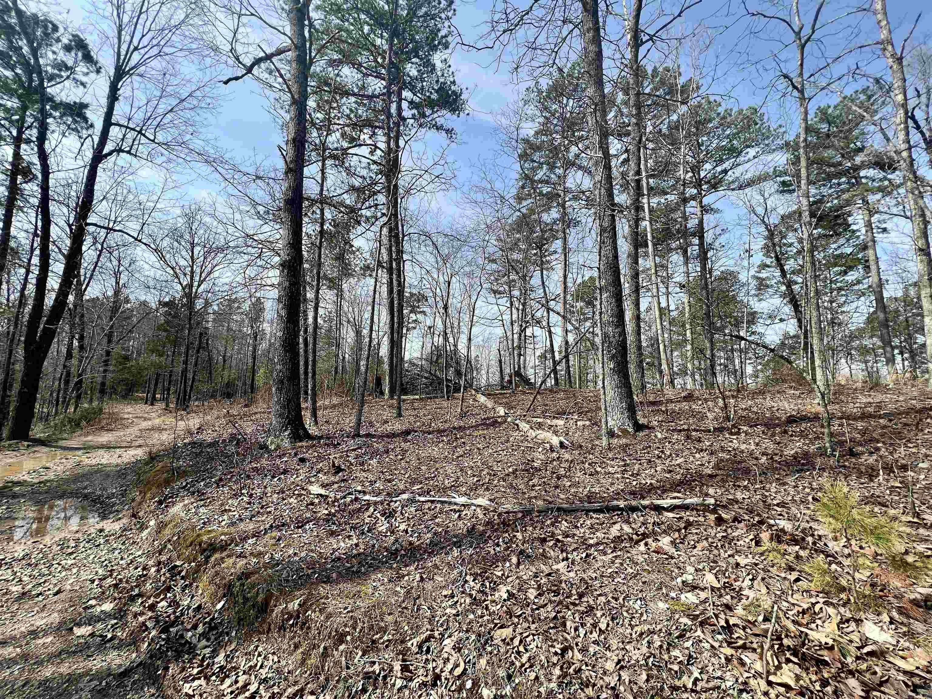 Tract 3  Ramblewood  Yellville, AR