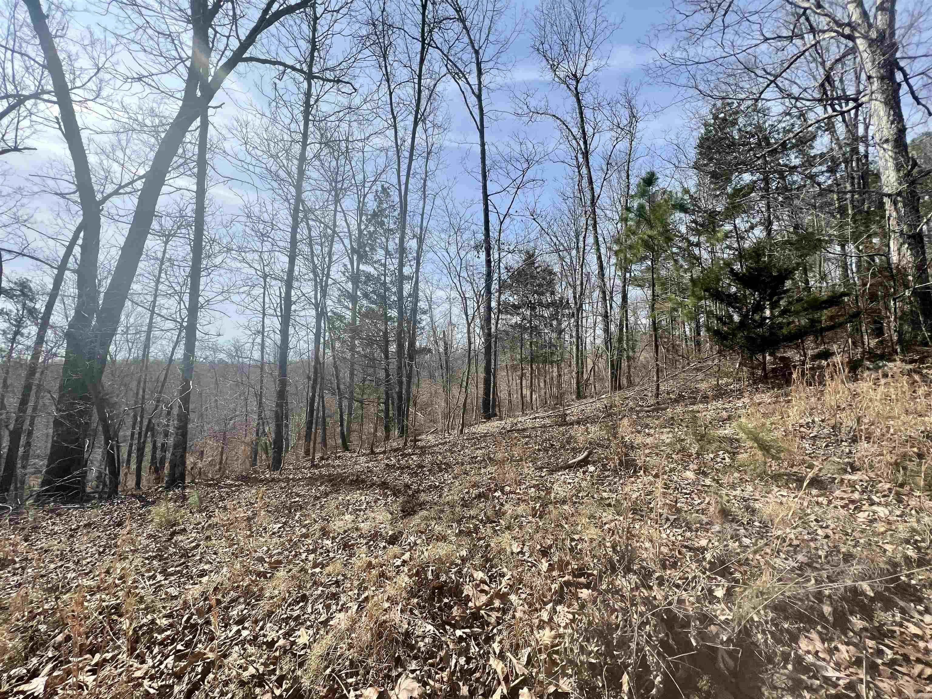 Tract 3  Ramblewood  Yellville, AR