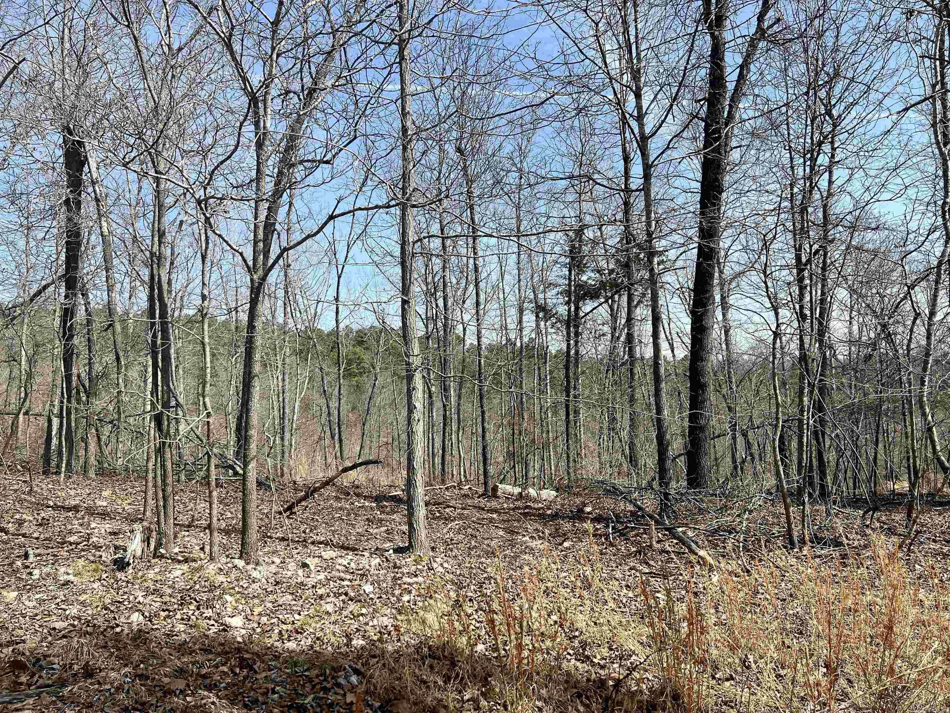 Tract 3  Ramblewood  Yellville, AR