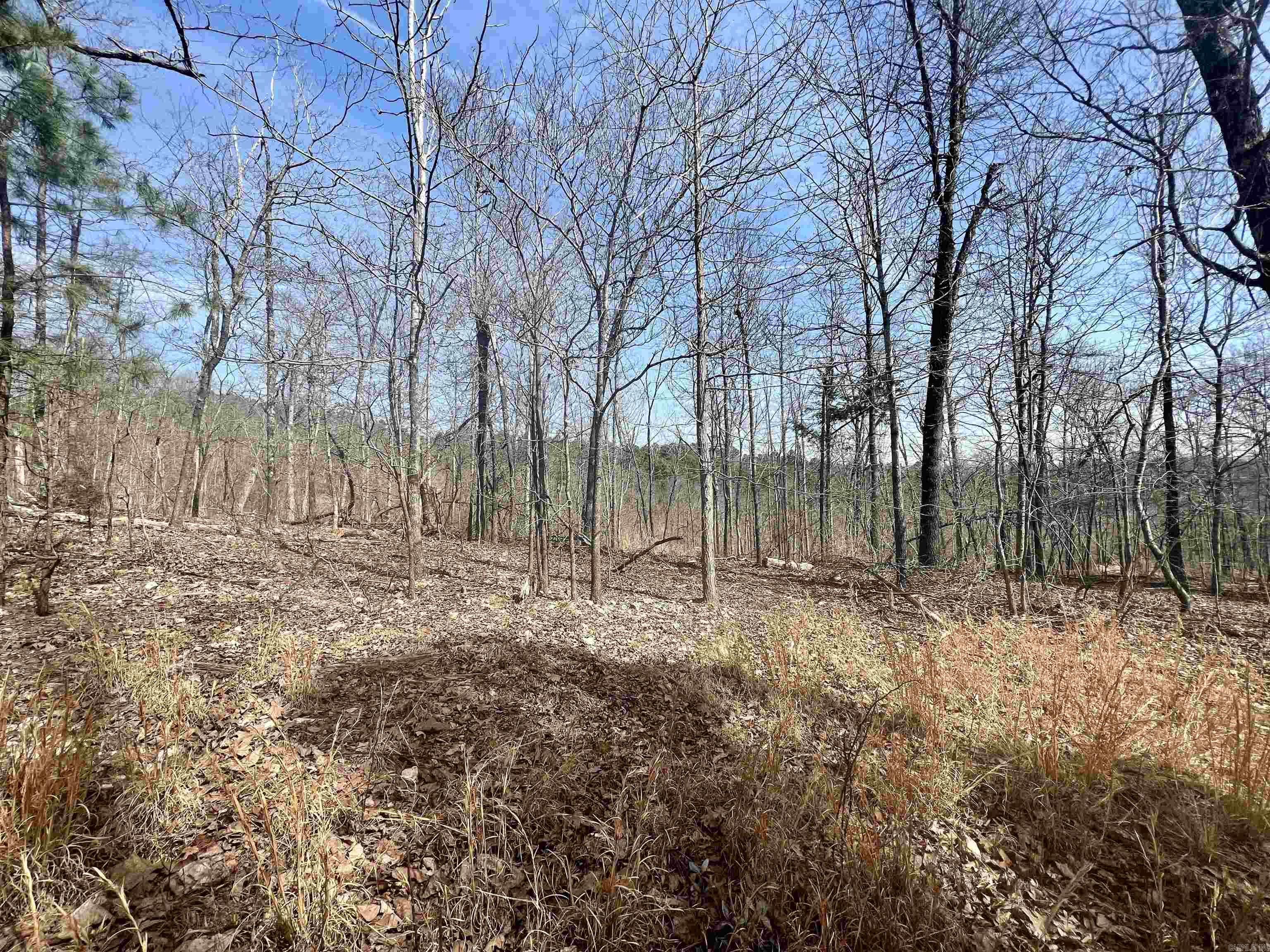 Tract 3  Ramblewood  Yellville, AR