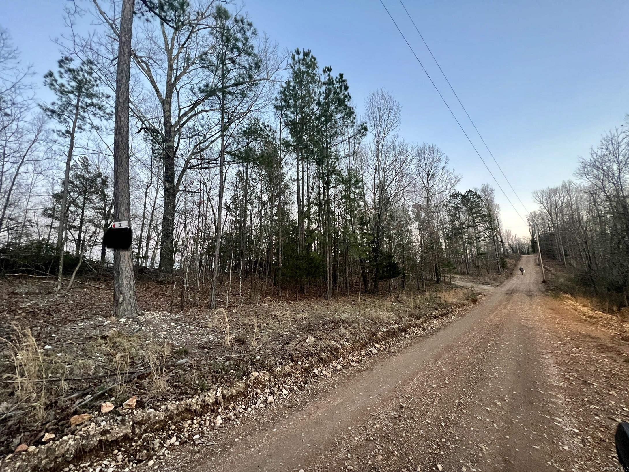 Tract 3  Ramblewood  Yellville, AR