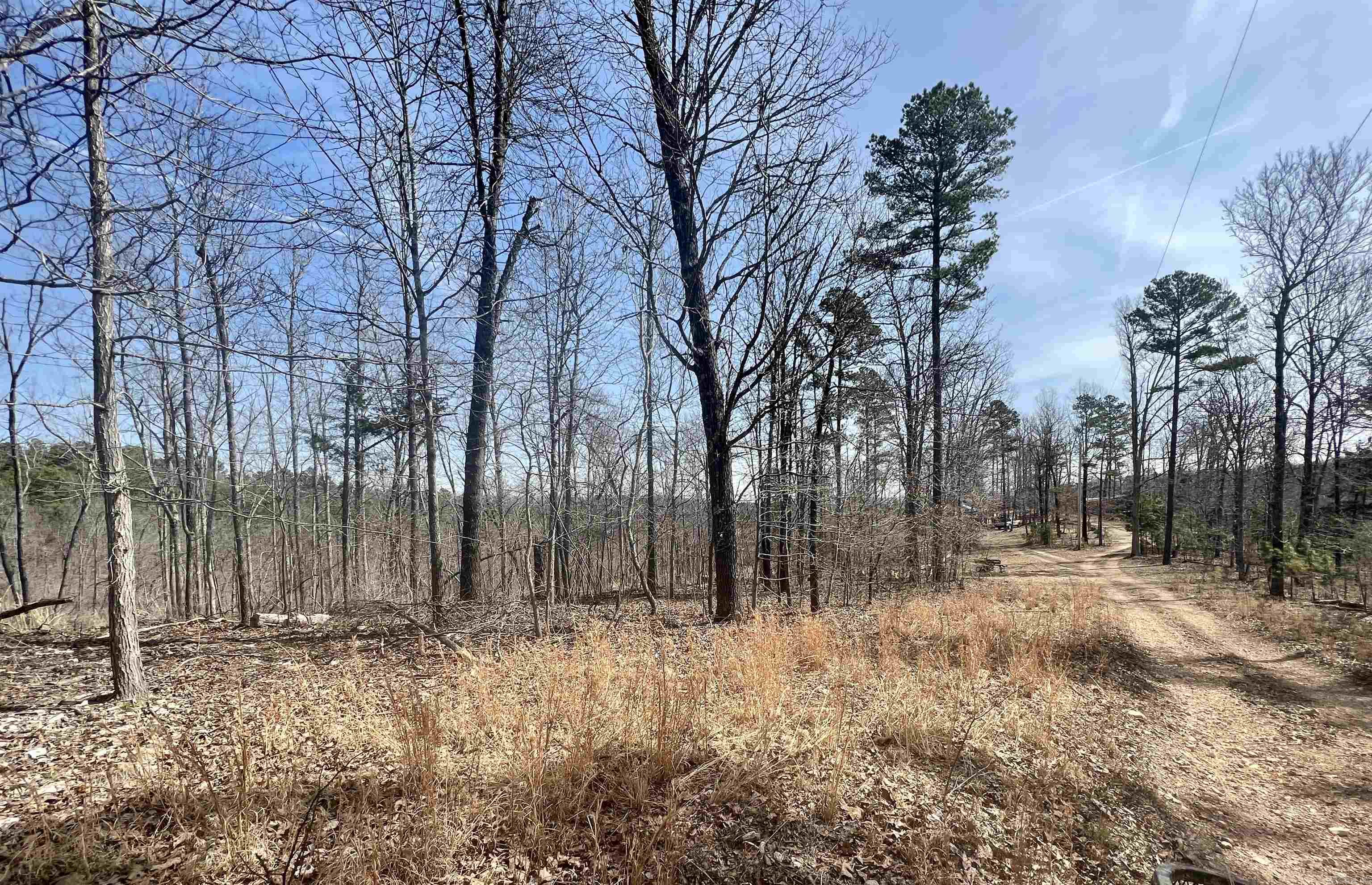 Tract 3  Ramblewood  Yellville, AR