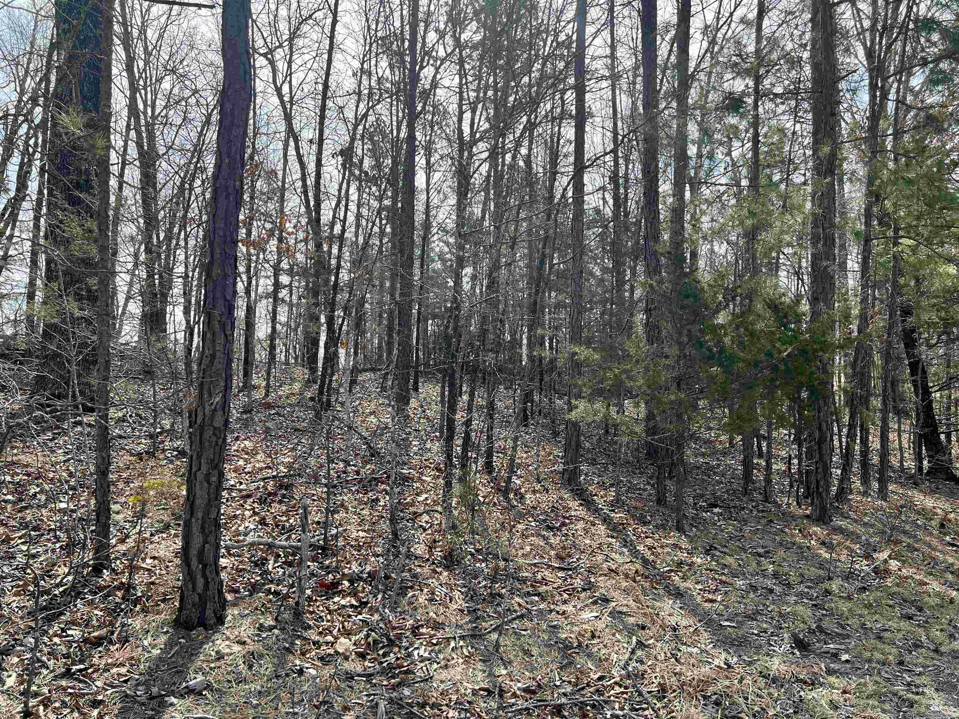Tract 3  Ramblewood  Yellville, AR