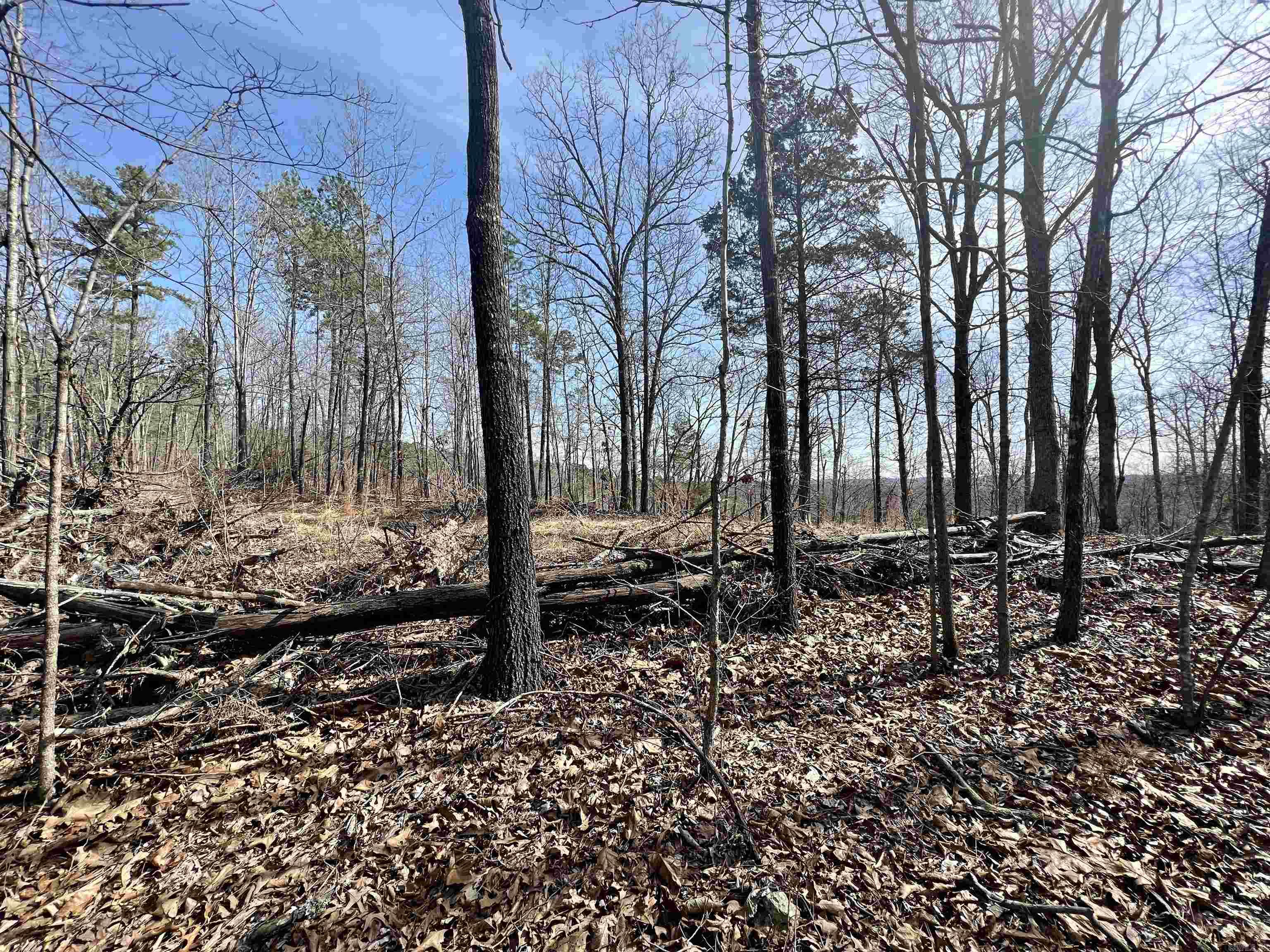 Tract 3  Ramblewood  Yellville, AR
