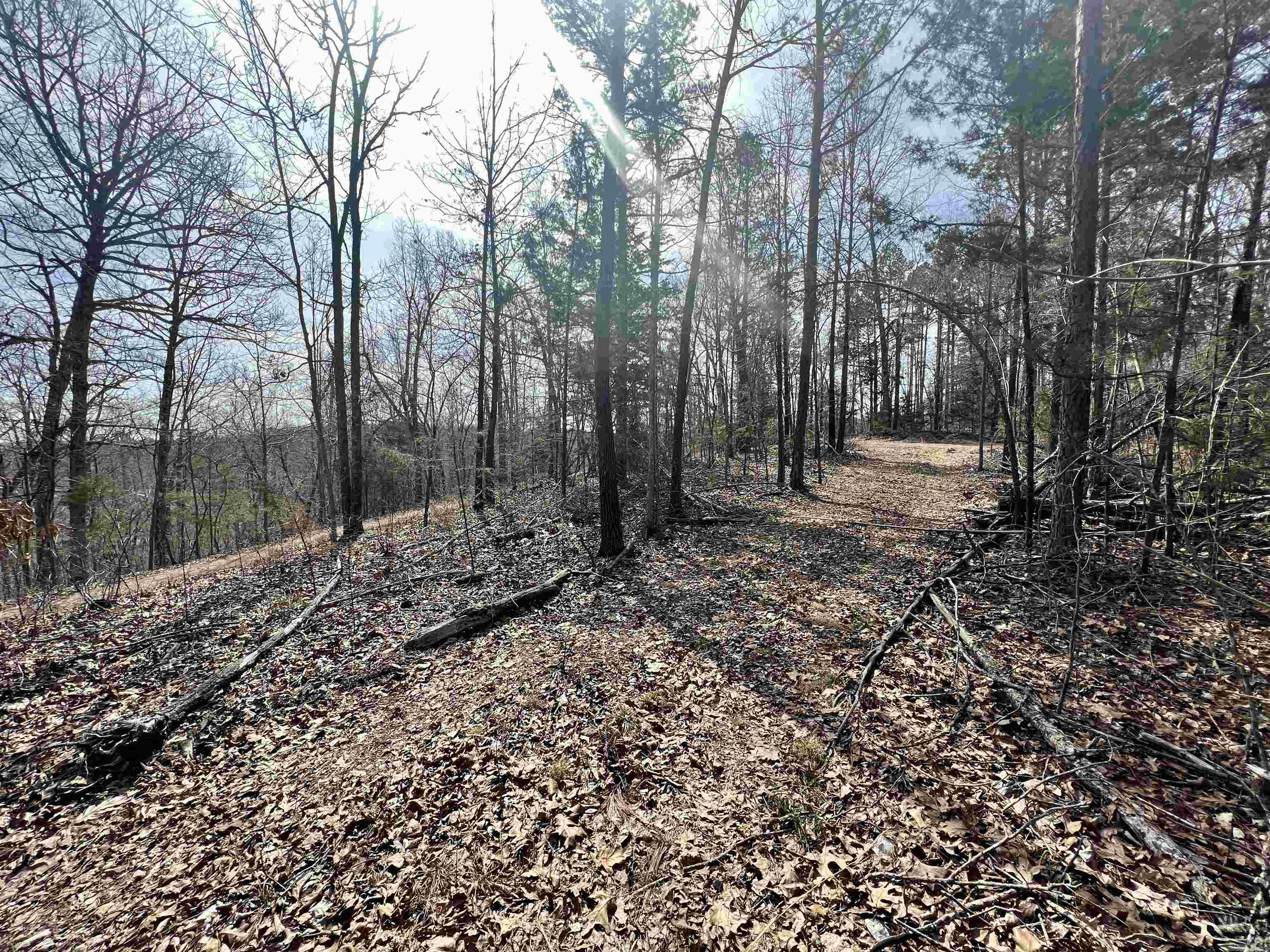 Tract 3  Ramblewood  Yellville, AR