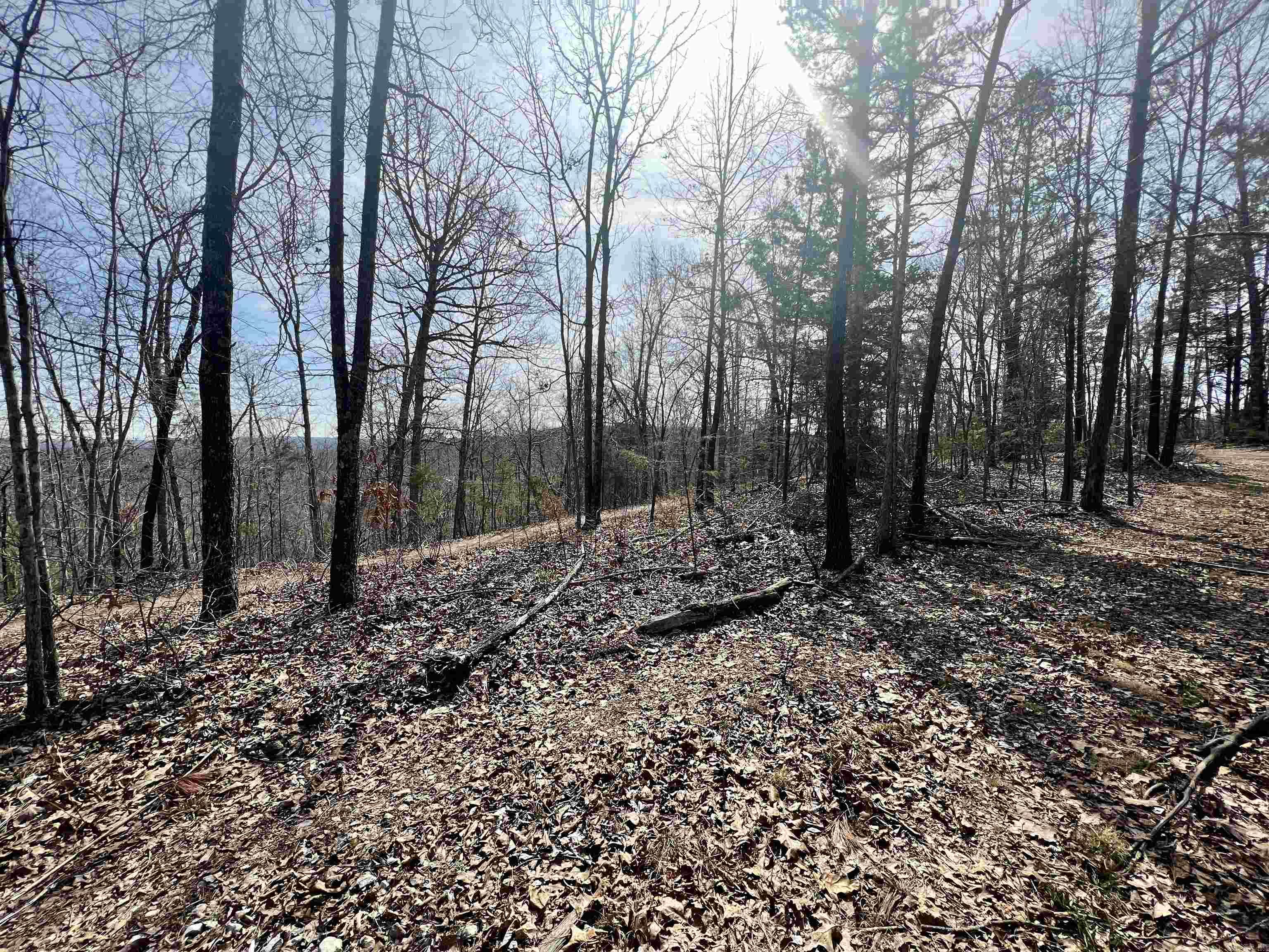 Tract 3  Ramblewood  Yellville, AR