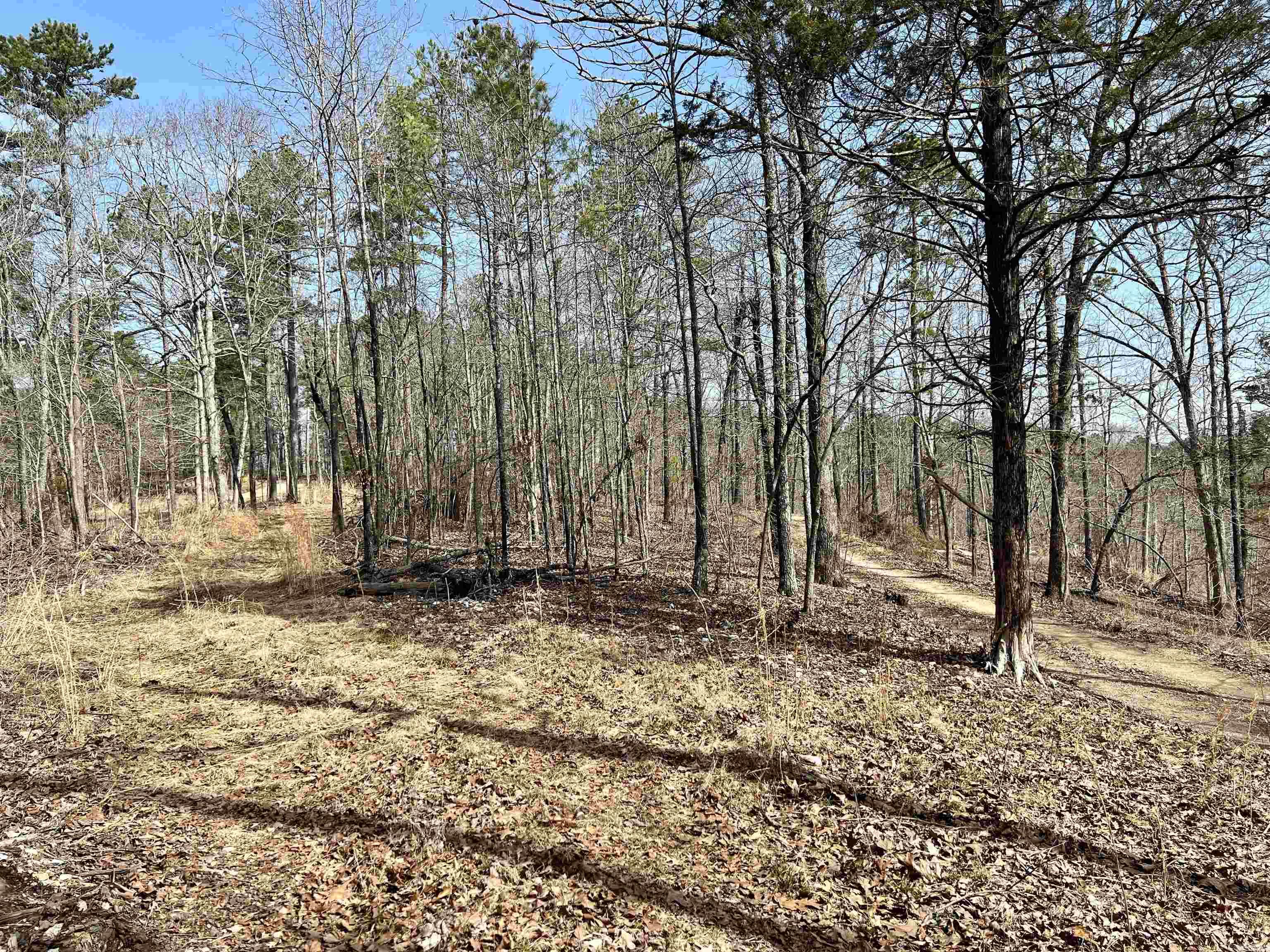 Tract 3  Ramblewood  Yellville, AR