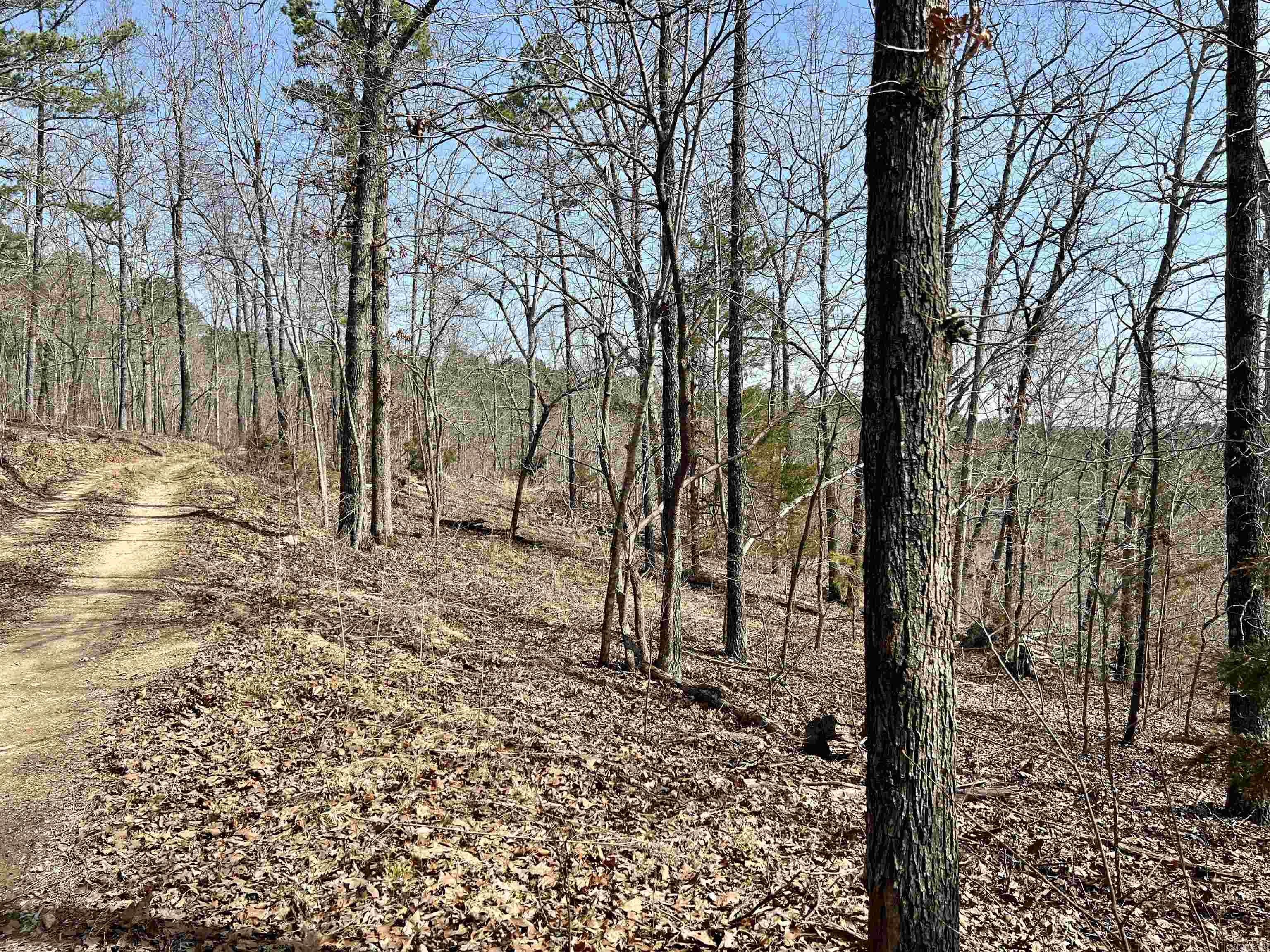 Tract 3  Ramblewood  Yellville, AR