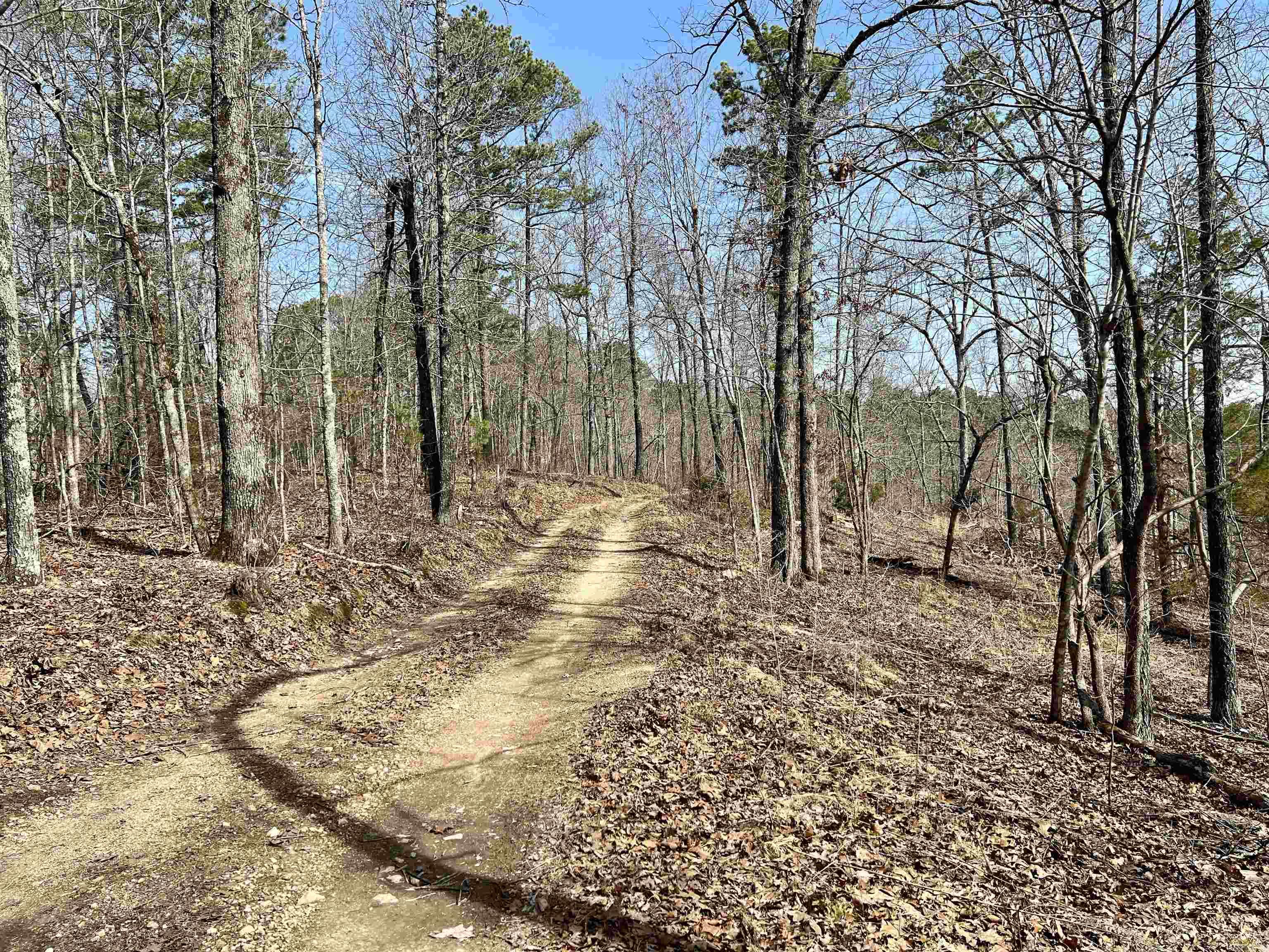 Tract 3  Ramblewood  Yellville, AR