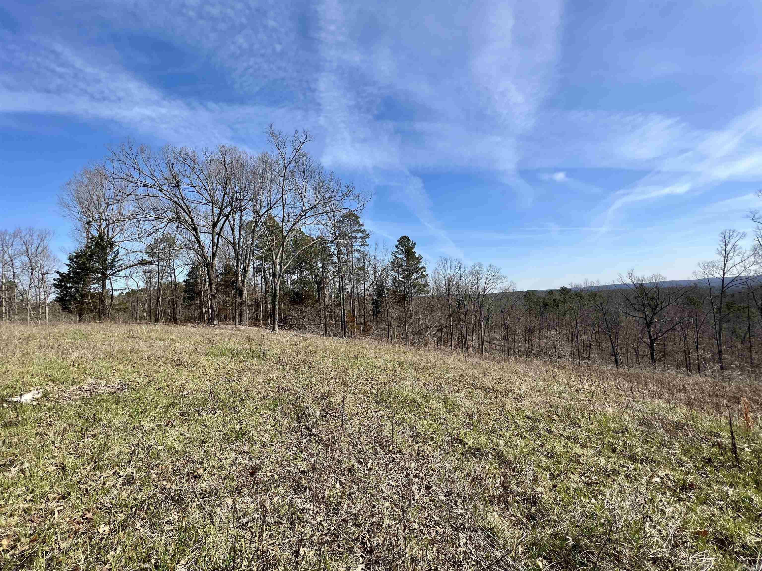 Tract 4  Ramblewood Trail  Yellville, AR