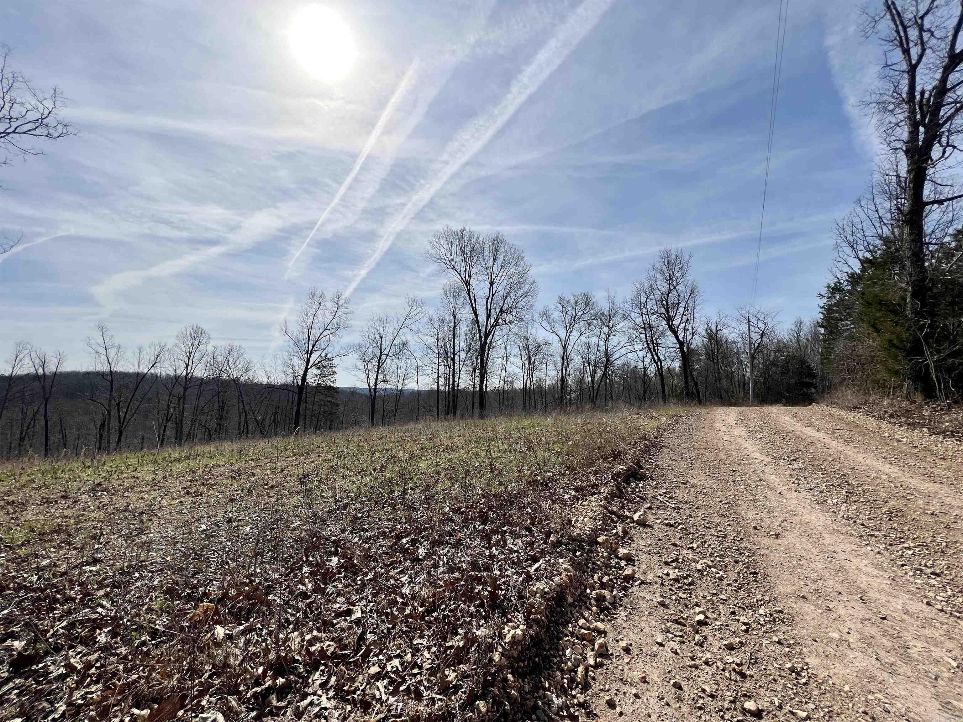 Tract 4  Ramblewood Trail  Yellville, AR