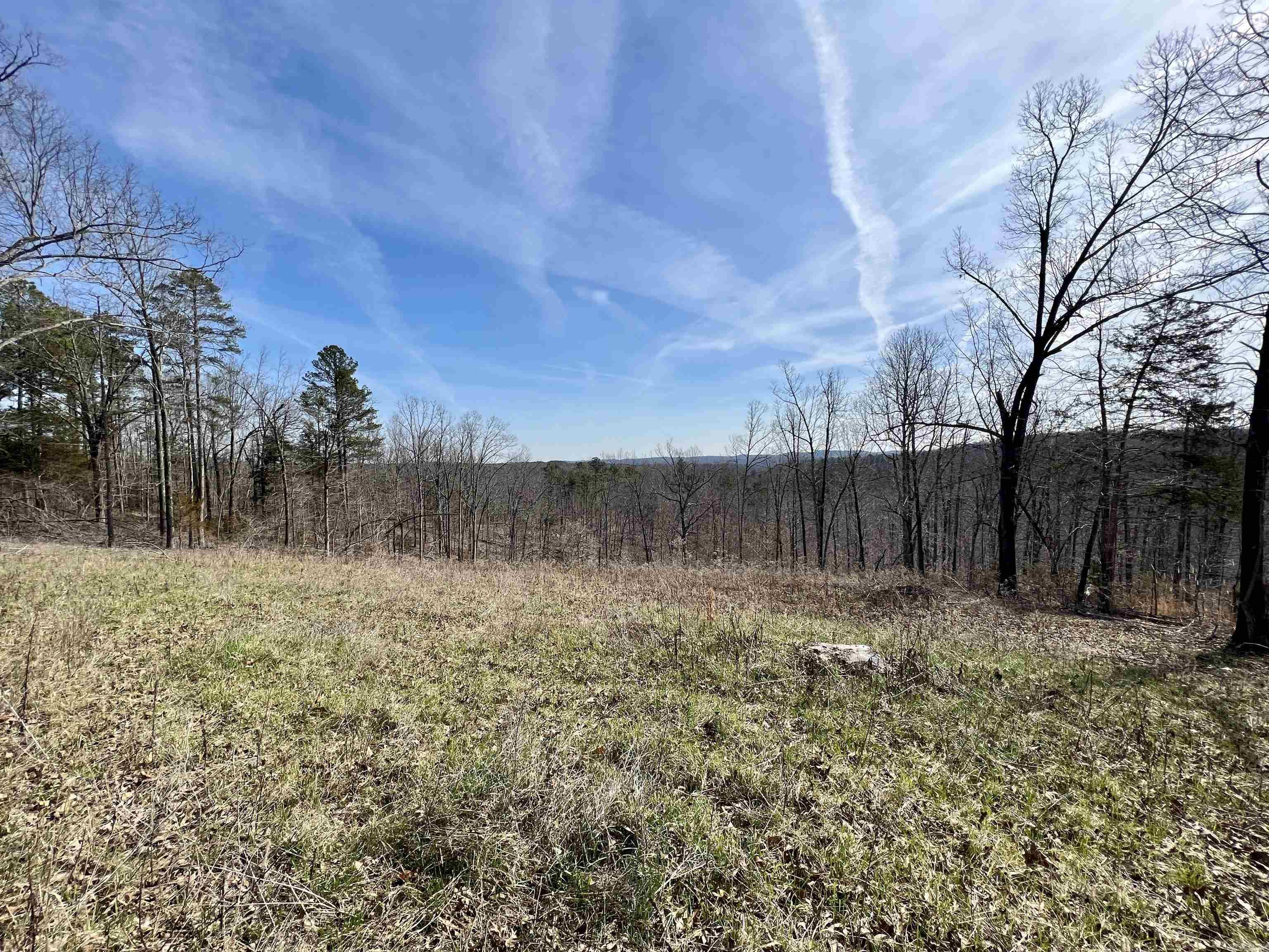 Tract 4  Ramblewood Trail  Yellville, AR