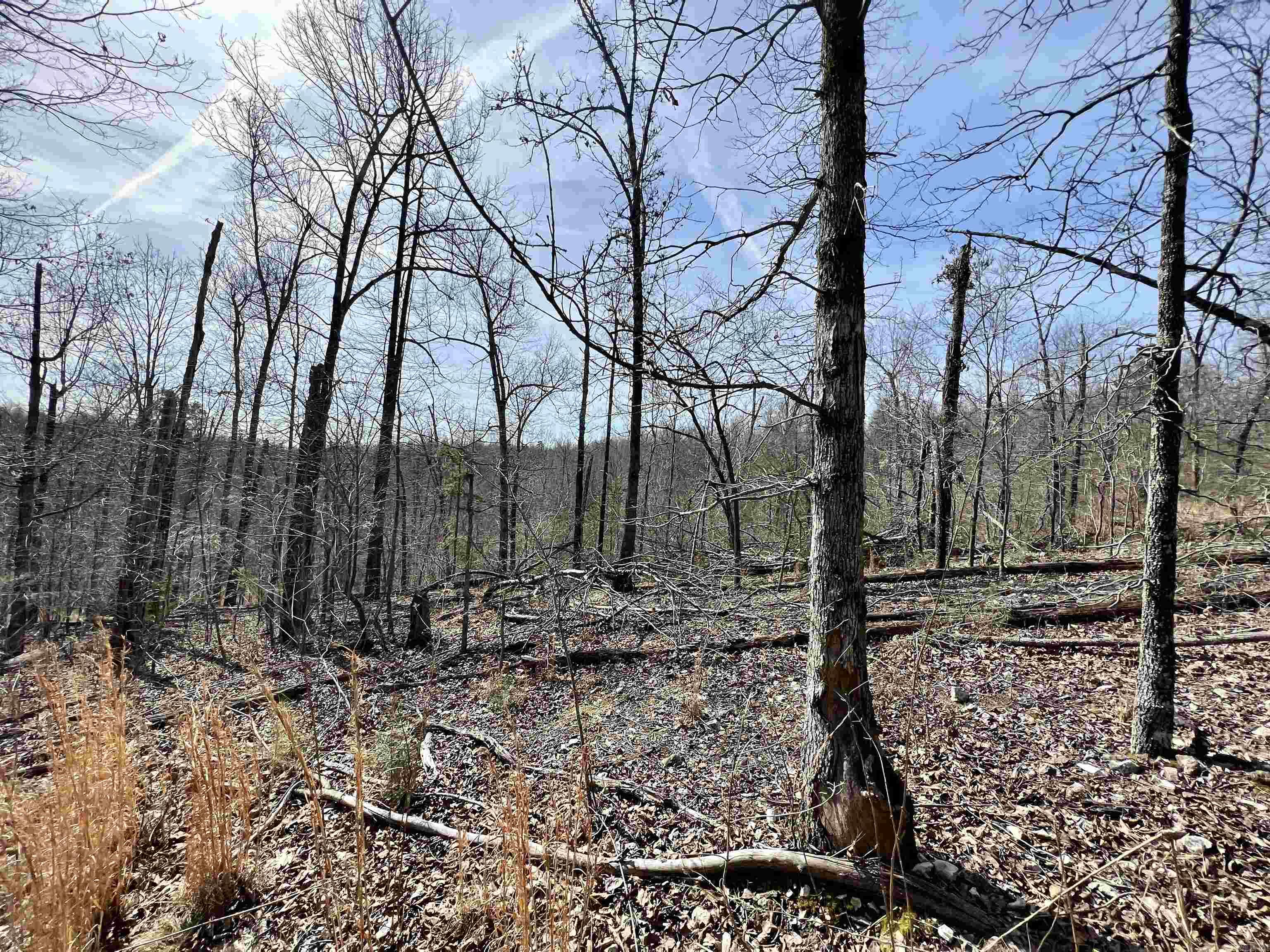 Tract 4  Ramblewood Trail  Yellville, AR