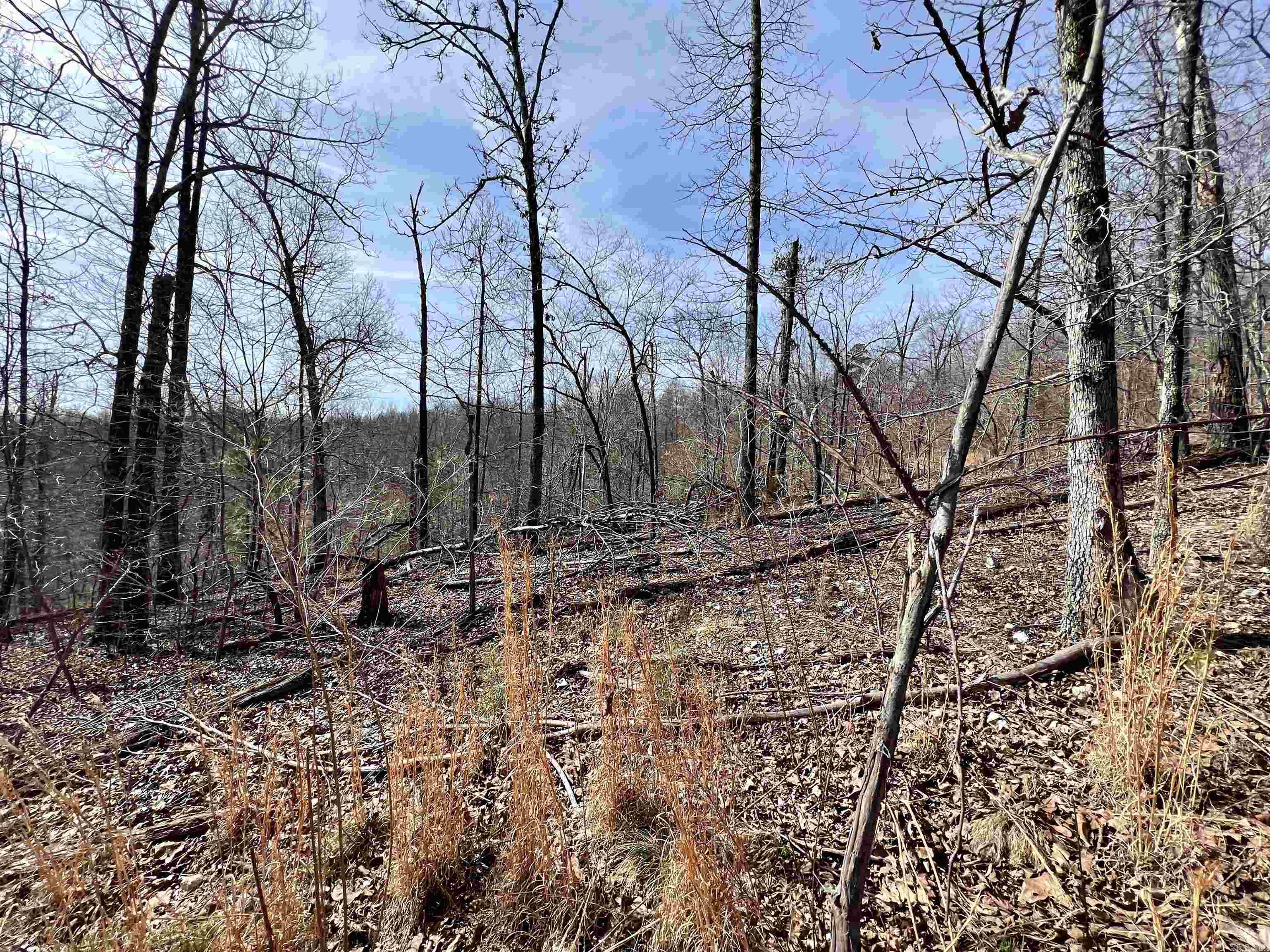 Tract 4  Ramblewood Trail  Yellville, AR