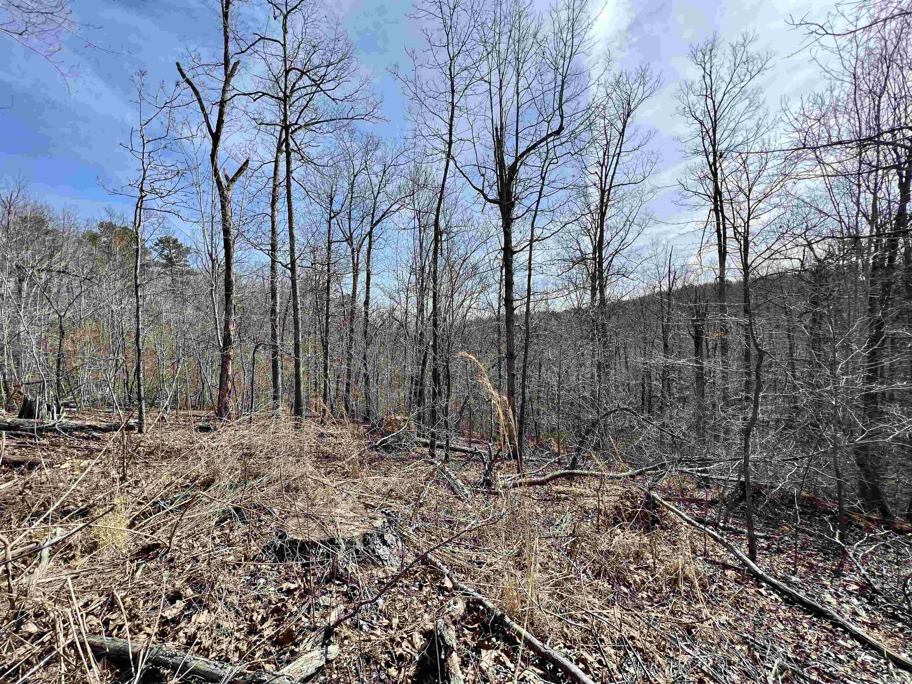 Tract 4  Ramblewood Trail  Yellville, AR