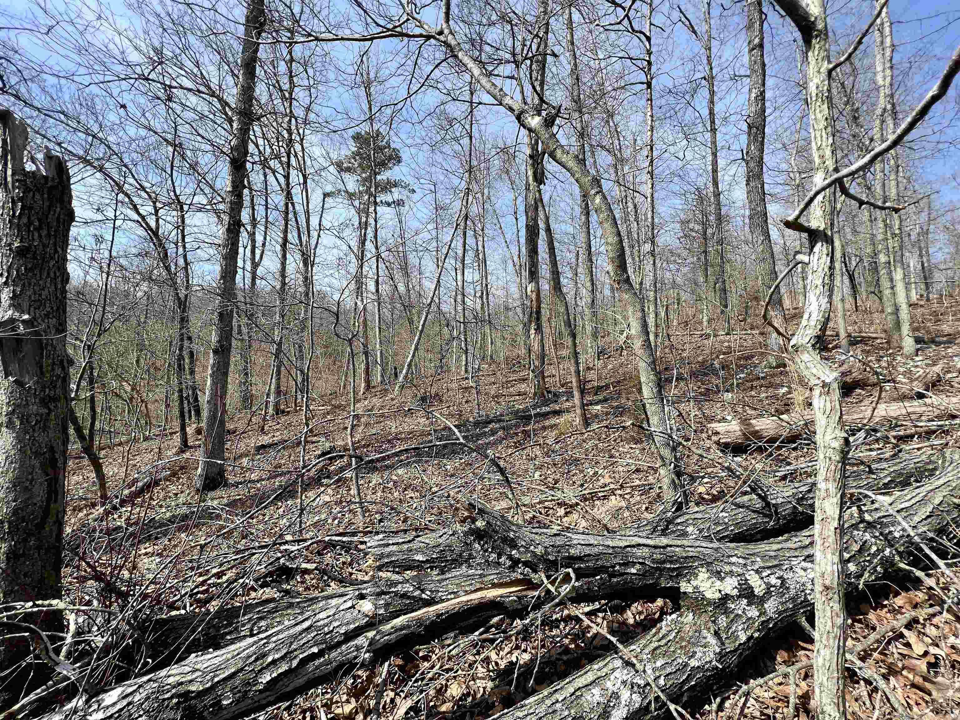 Tract 4  Ramblewood Trail  Yellville, AR