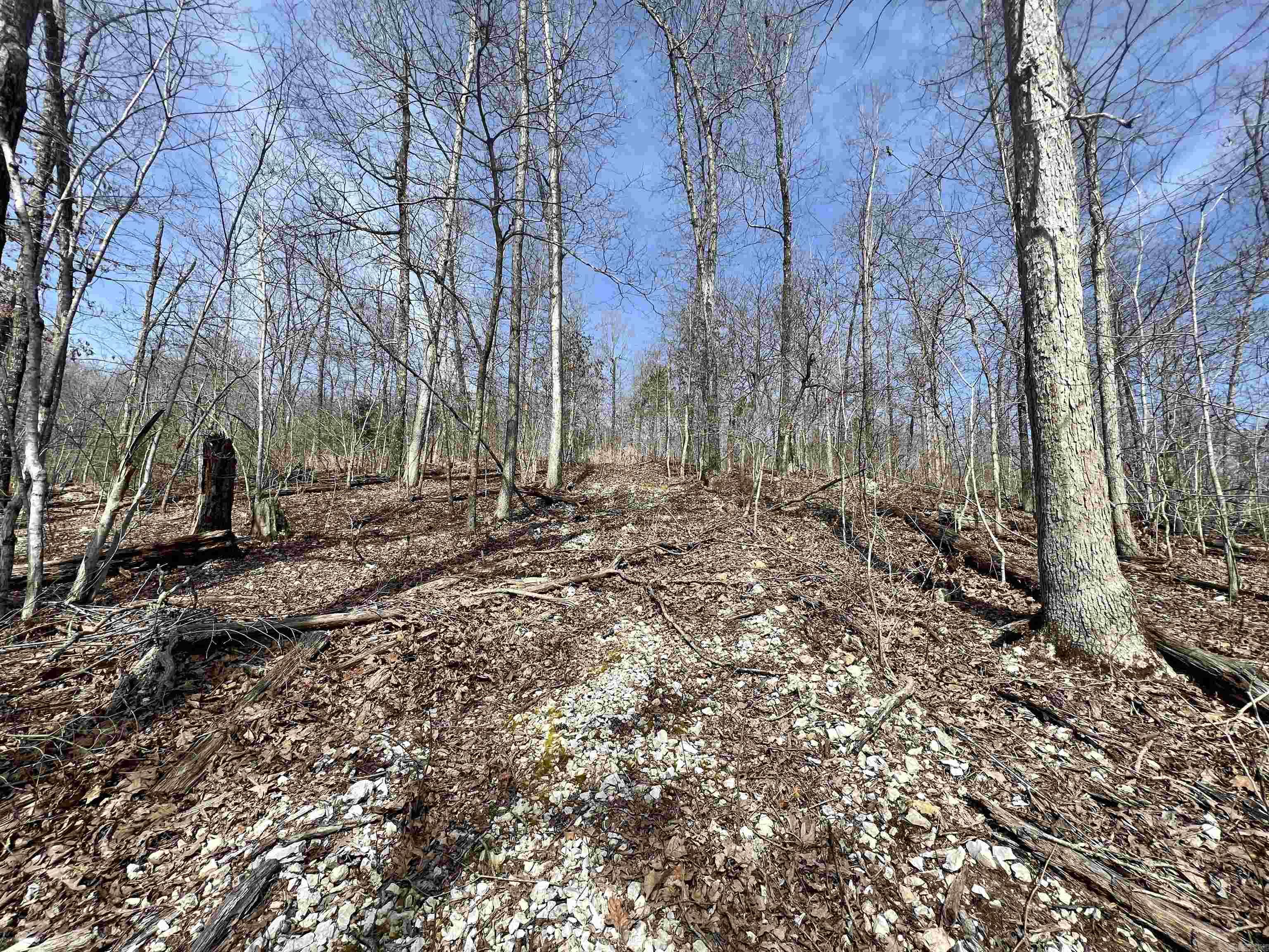 Tract 4  Ramblewood Trail  Yellville, AR
